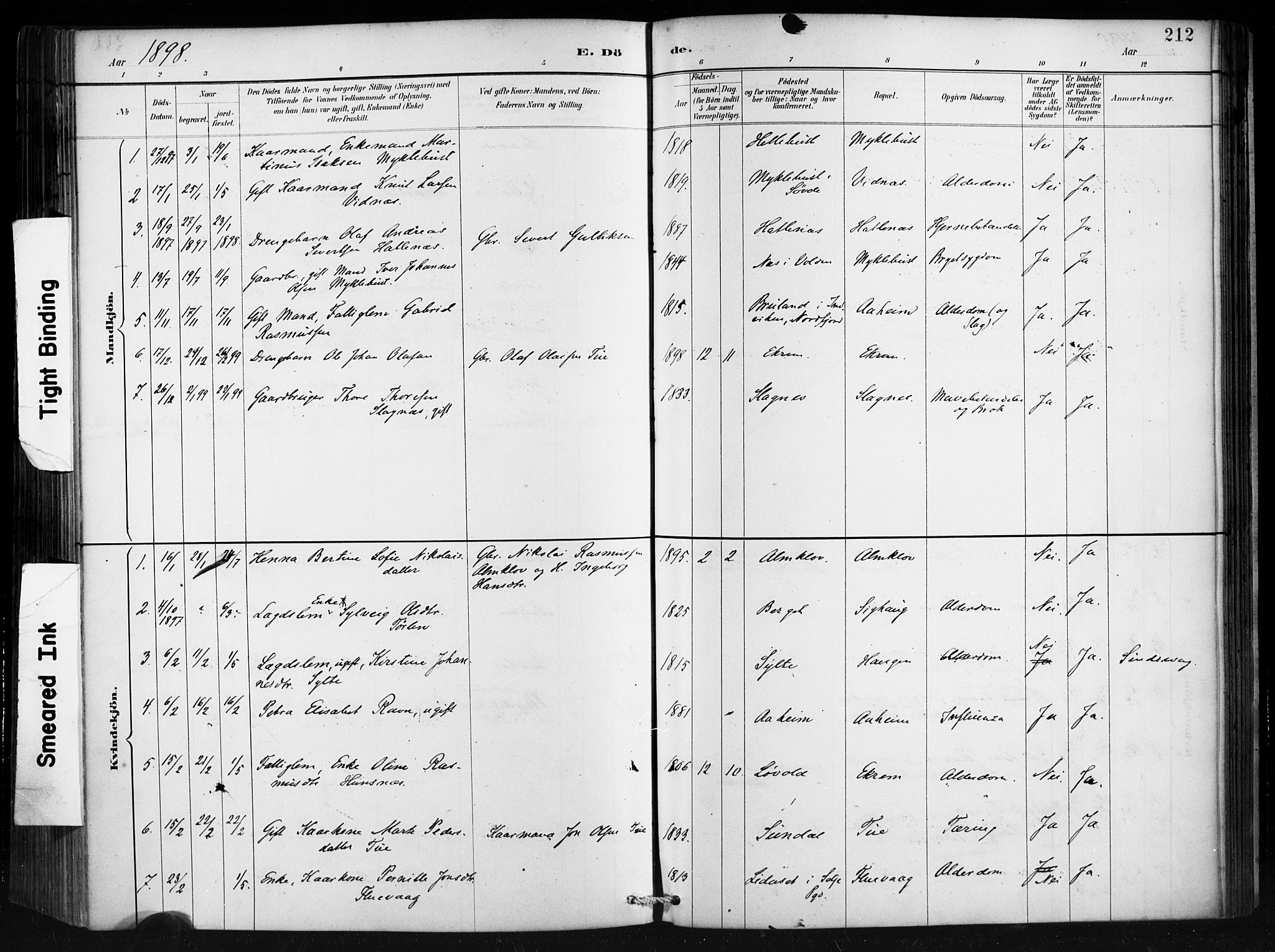 Ministerialprotokoller, klokkerbøker og fødselsregistre - Møre og Romsdal, AV/SAT-A-1454/501/L0008: Parish register (official) no. 501A08, 1885-1901, p. 212