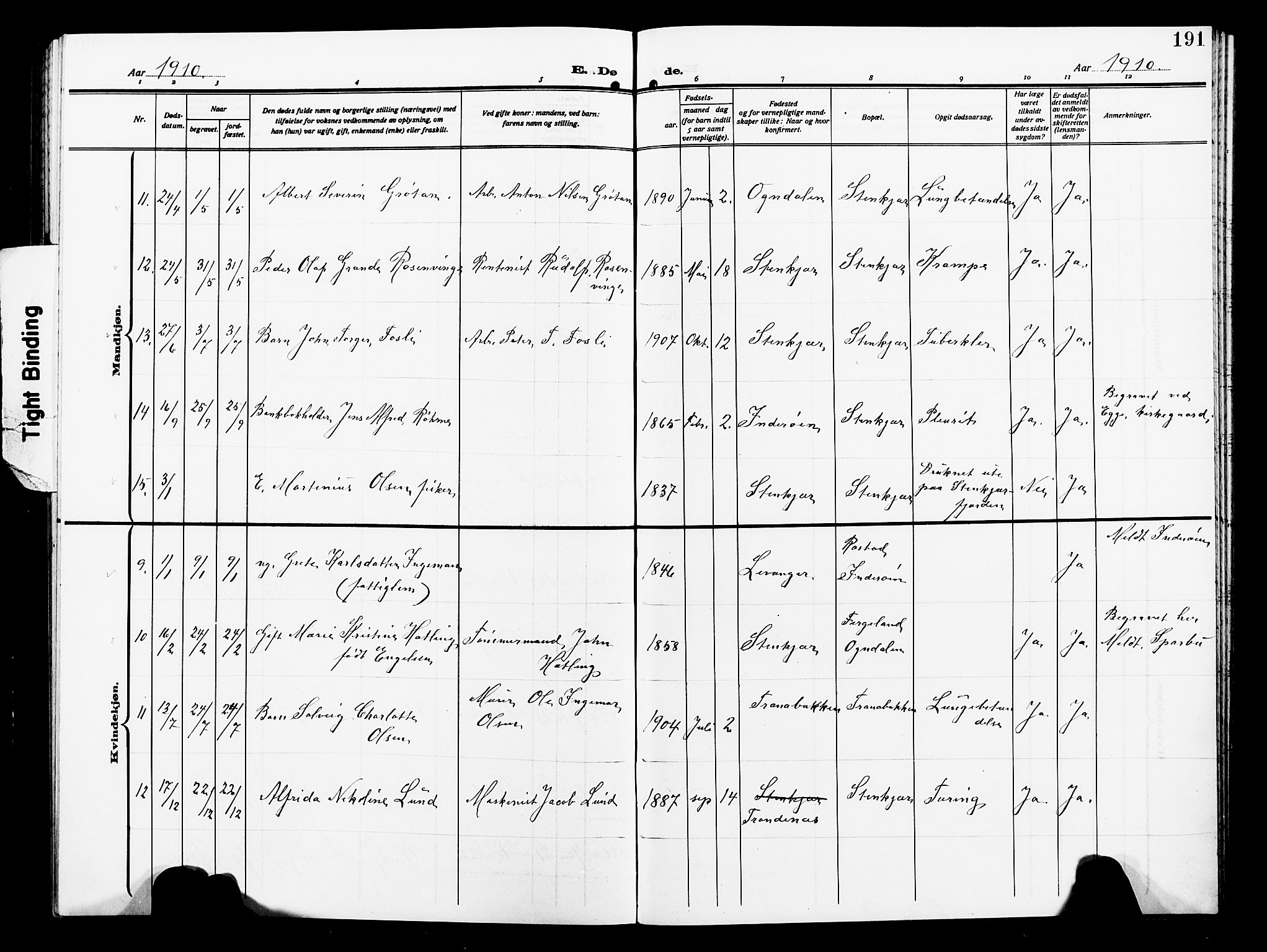 Ministerialprotokoller, klokkerbøker og fødselsregistre - Nord-Trøndelag, AV/SAT-A-1458/739/L0376: Parish register (copy) no. 739C04, 1908-1917, p. 191