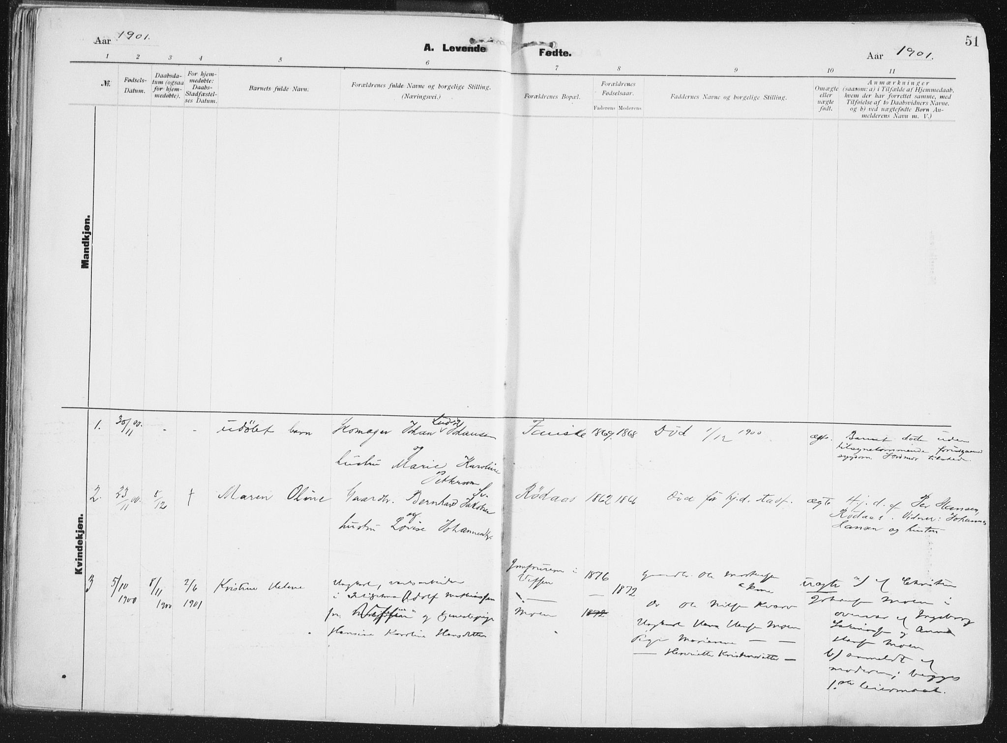 Ministerialprotokoller, klokkerbøker og fødselsregistre - Nordland, AV/SAT-A-1459/849/L0696: Parish register (official) no. 849A08, 1898-1910, p. 51