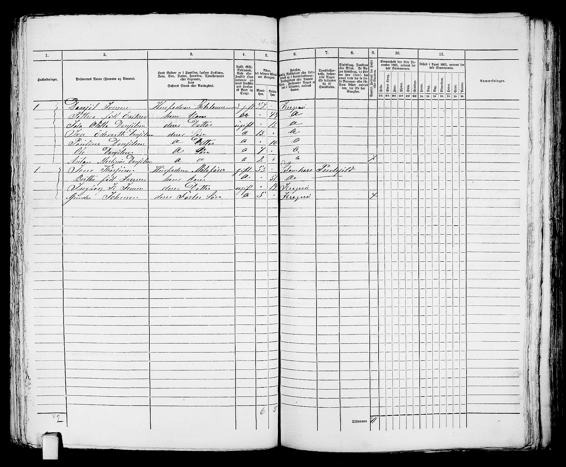 RA, 1865 census for Kragerø/Kragerø, 1865, p. 329