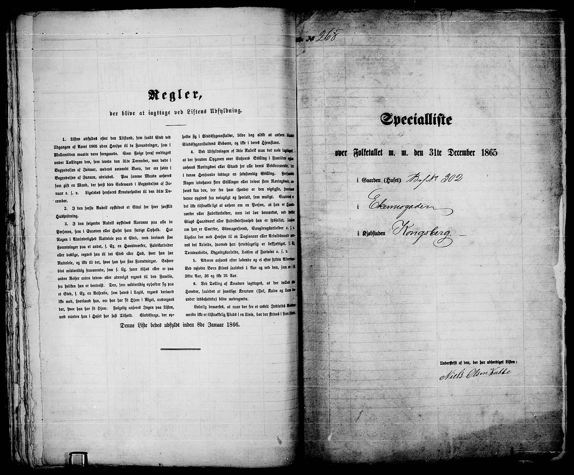 RA, 1865 census for Kongsberg/Kongsberg, 1865, p. 548