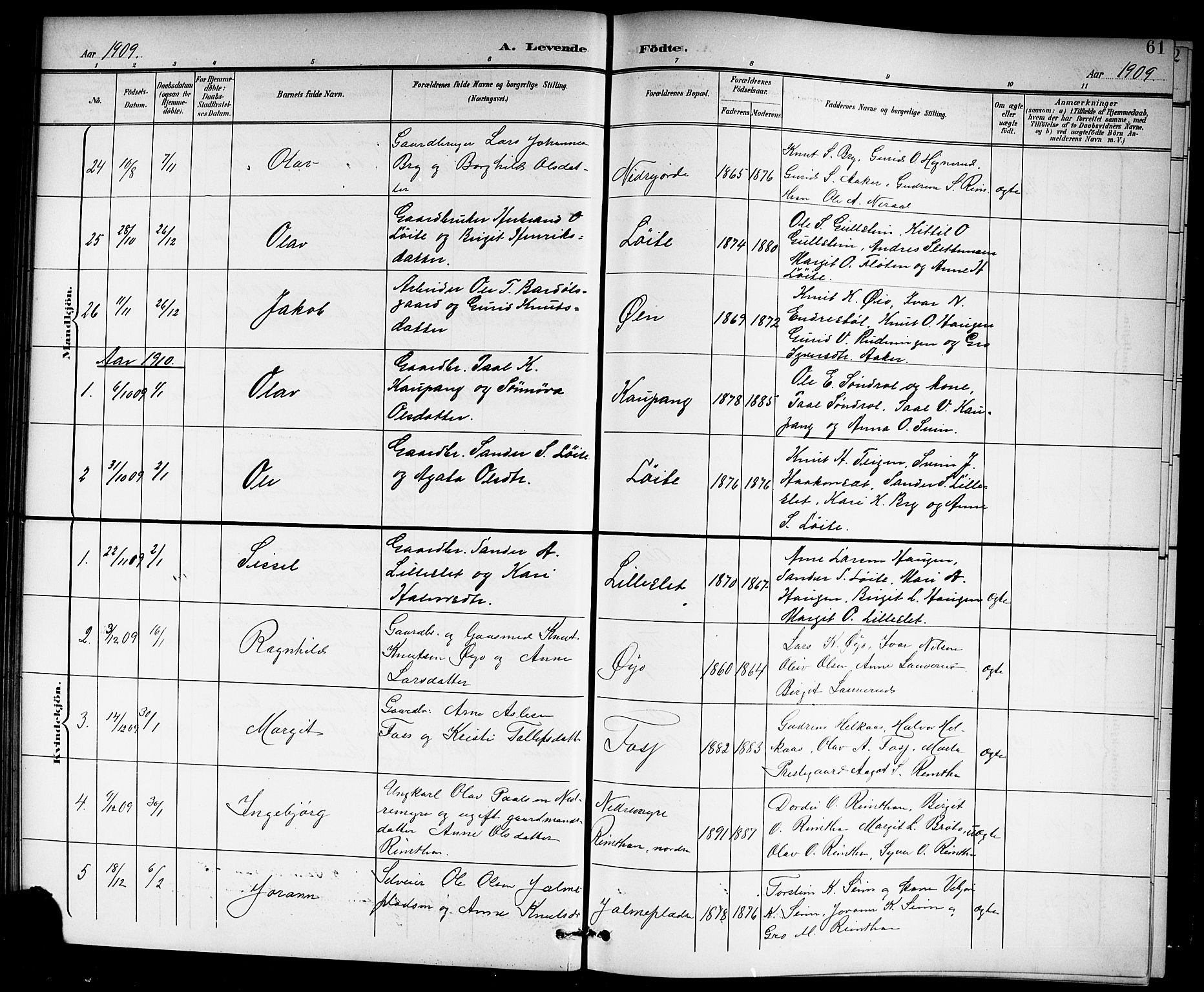 Hol kirkebøker, SAKO/A-227/G/Ga/L0001: Parish register (copy) no. I 1, 1900-1919, p. 61
