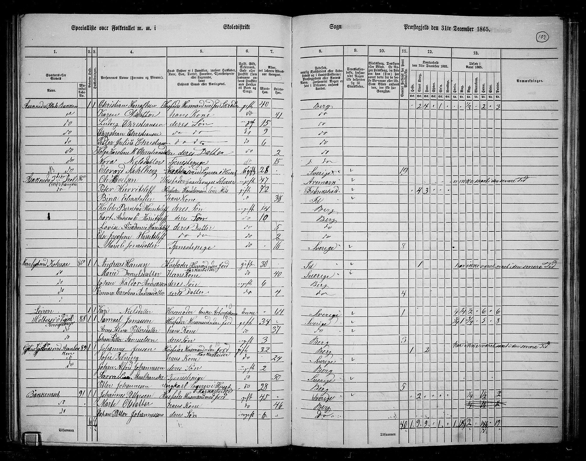 RA, 1865 census for Berg, 1865, p. 91