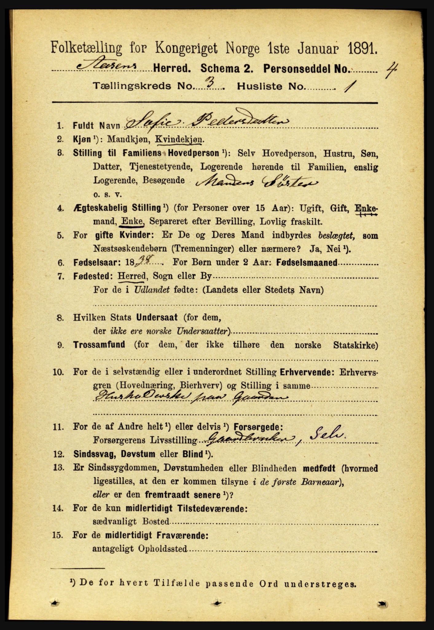 RA, 1891 census for 1716 Åsen, 1891, p. 909