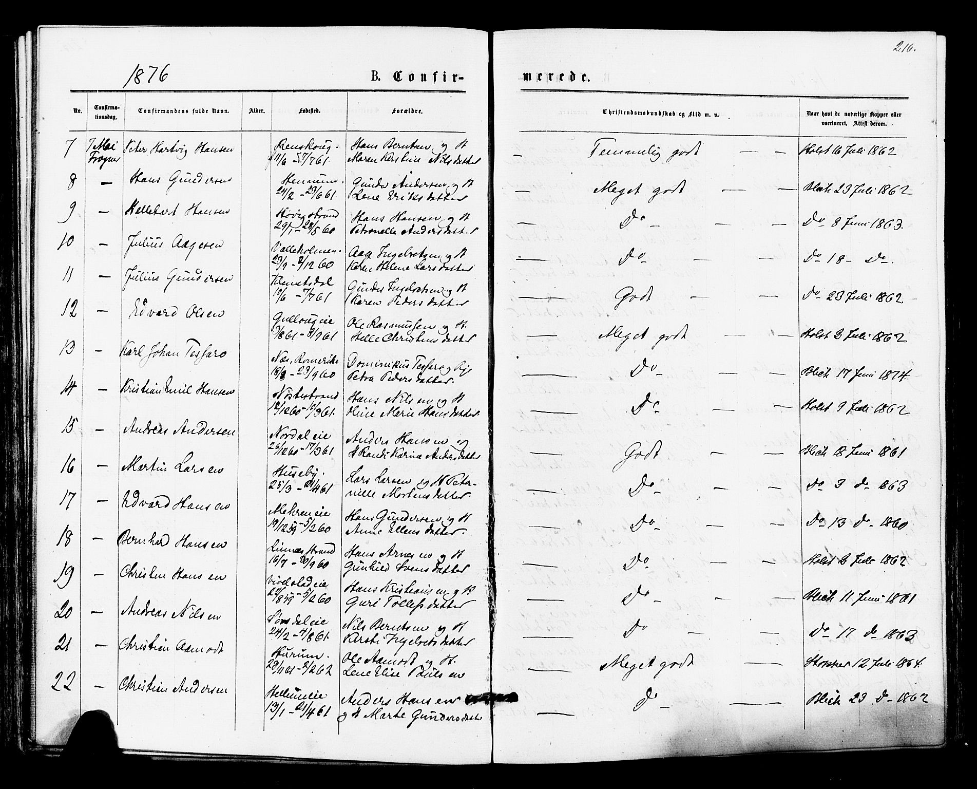 Lier kirkebøker, AV/SAKO-A-230/F/Fa/L0014: Parish register (official) no. I 14, 1875-1882, p. 216