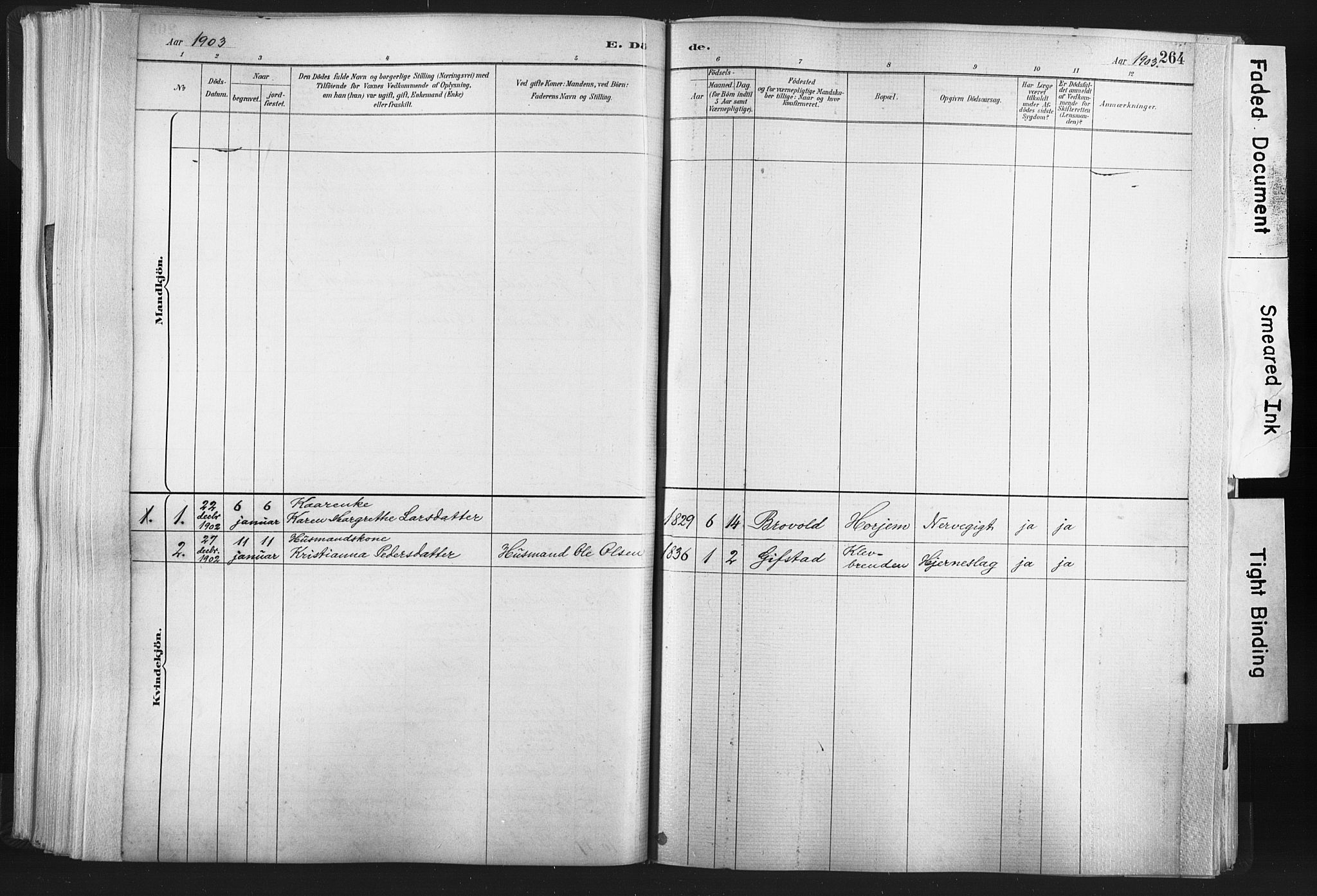 Ministerialprotokoller, klokkerbøker og fødselsregistre - Nord-Trøndelag, SAT/A-1458/749/L0474: Parish register (official) no. 749A08, 1887-1903, p. 264