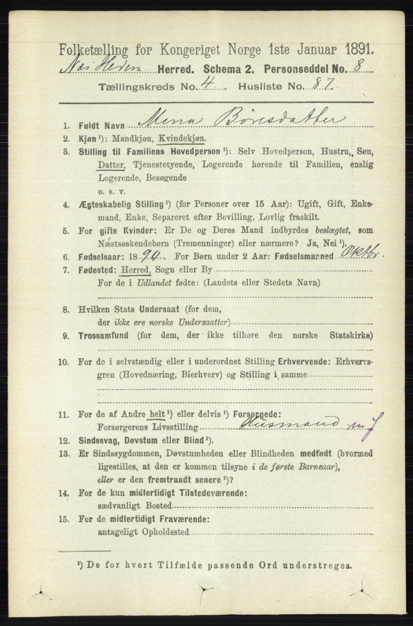 RA, 1891 census for 0411 Nes, 1891, p. 2510