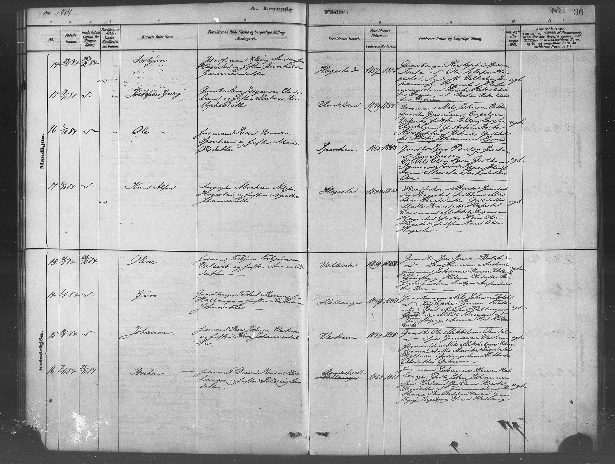 Ulvik sokneprestembete, AV/SAB-A-78801/H/Haa: Parish register (official) no. B 1, 1878-1897, p. 36