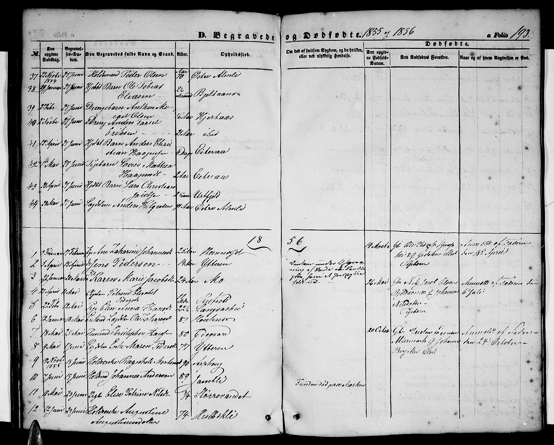 Ministerialprotokoller, klokkerbøker og fødselsregistre - Nordland, AV/SAT-A-1459/827/L0414: Parish register (copy) no. 827C03, 1853-1865, p. 193