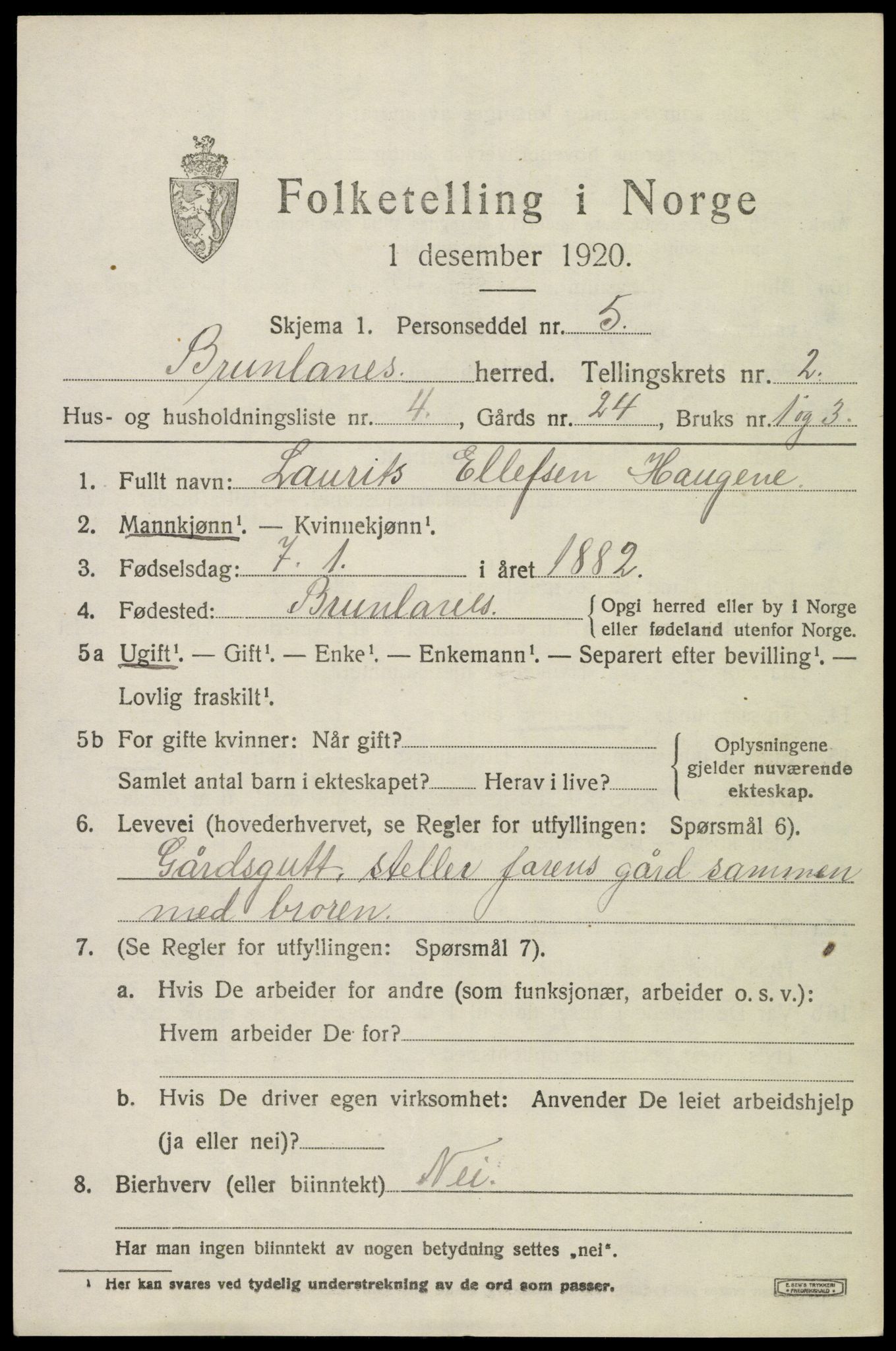 SAKO, 1920 census for Brunlanes, 1920, p. 3365