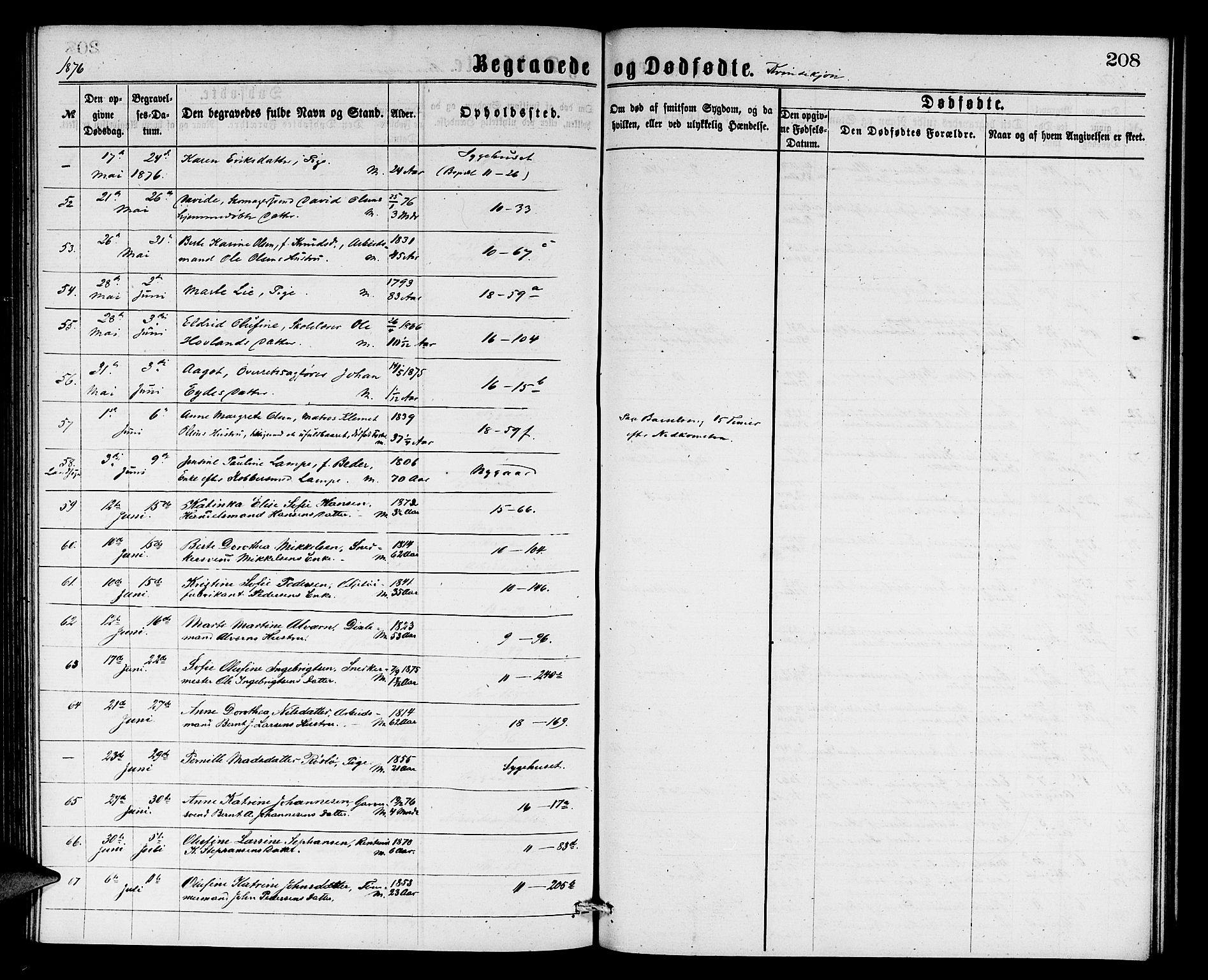 Domkirken sokneprestembete, AV/SAB-A-74801/H/Hab/L0040: Parish register (copy) no. E 4, 1868-1877, p. 208