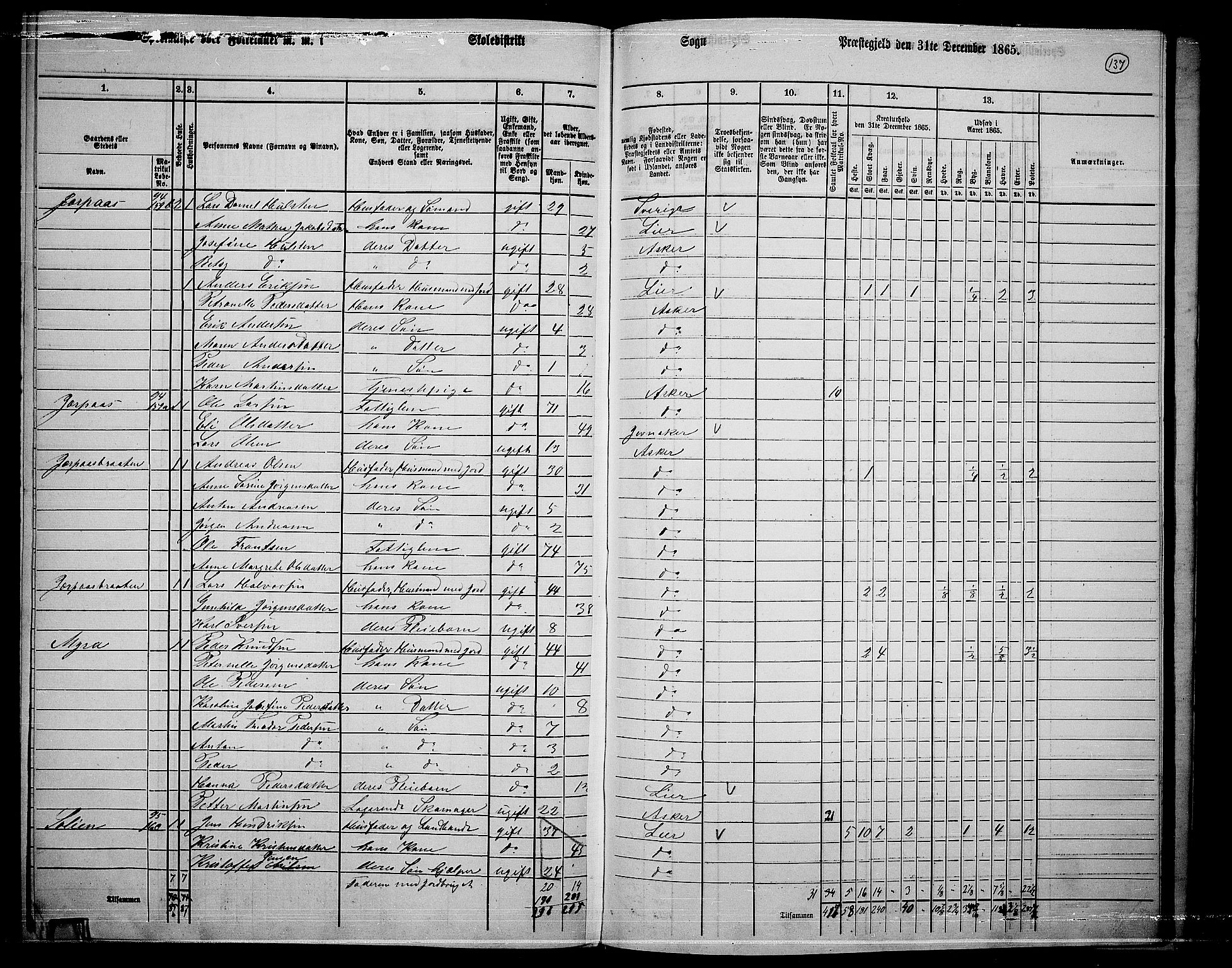 RA, 1865 census for Asker, 1865, p. 133