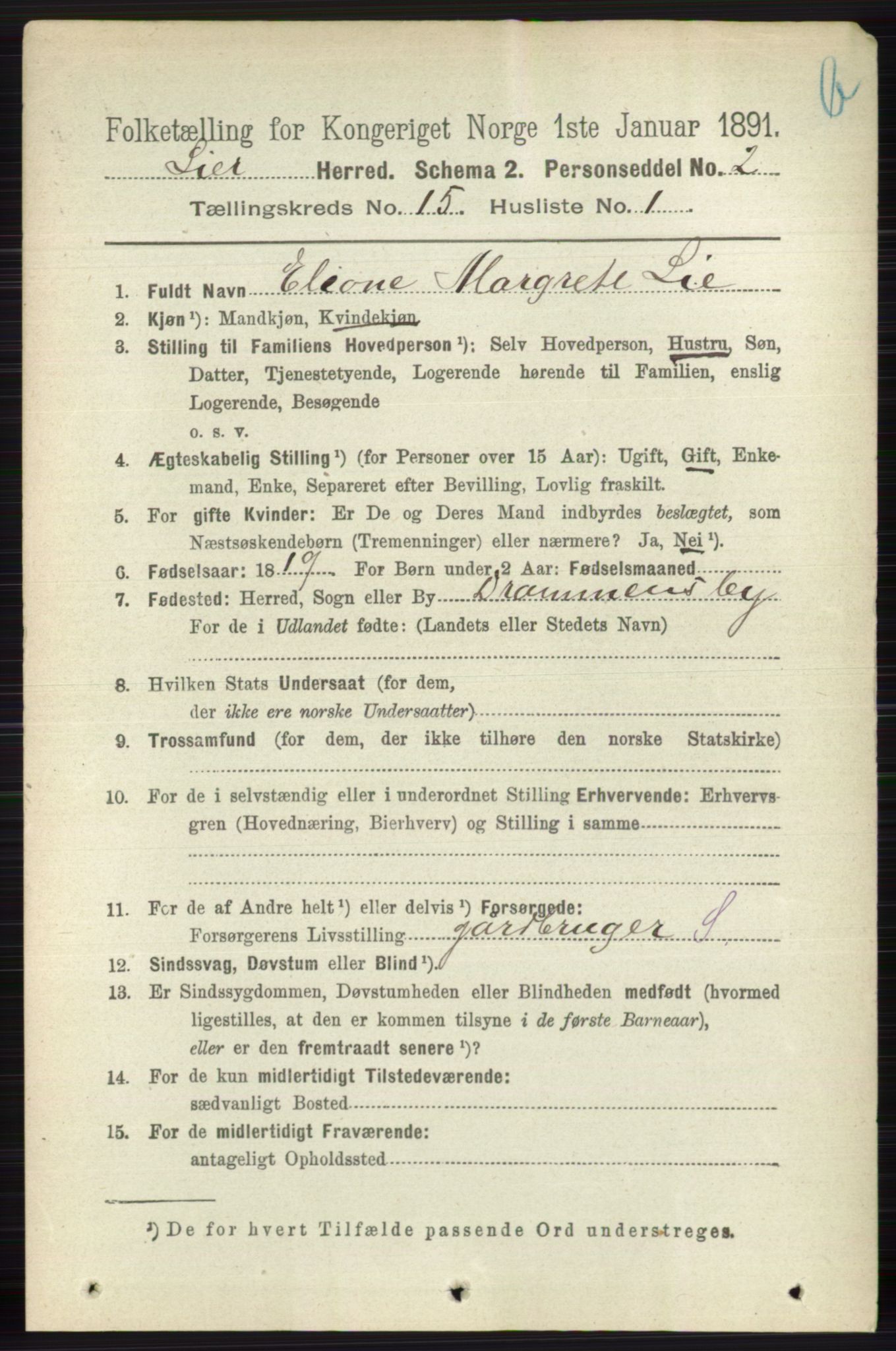 RA, 1891 census for 0626 Lier, 1891, p. 8711