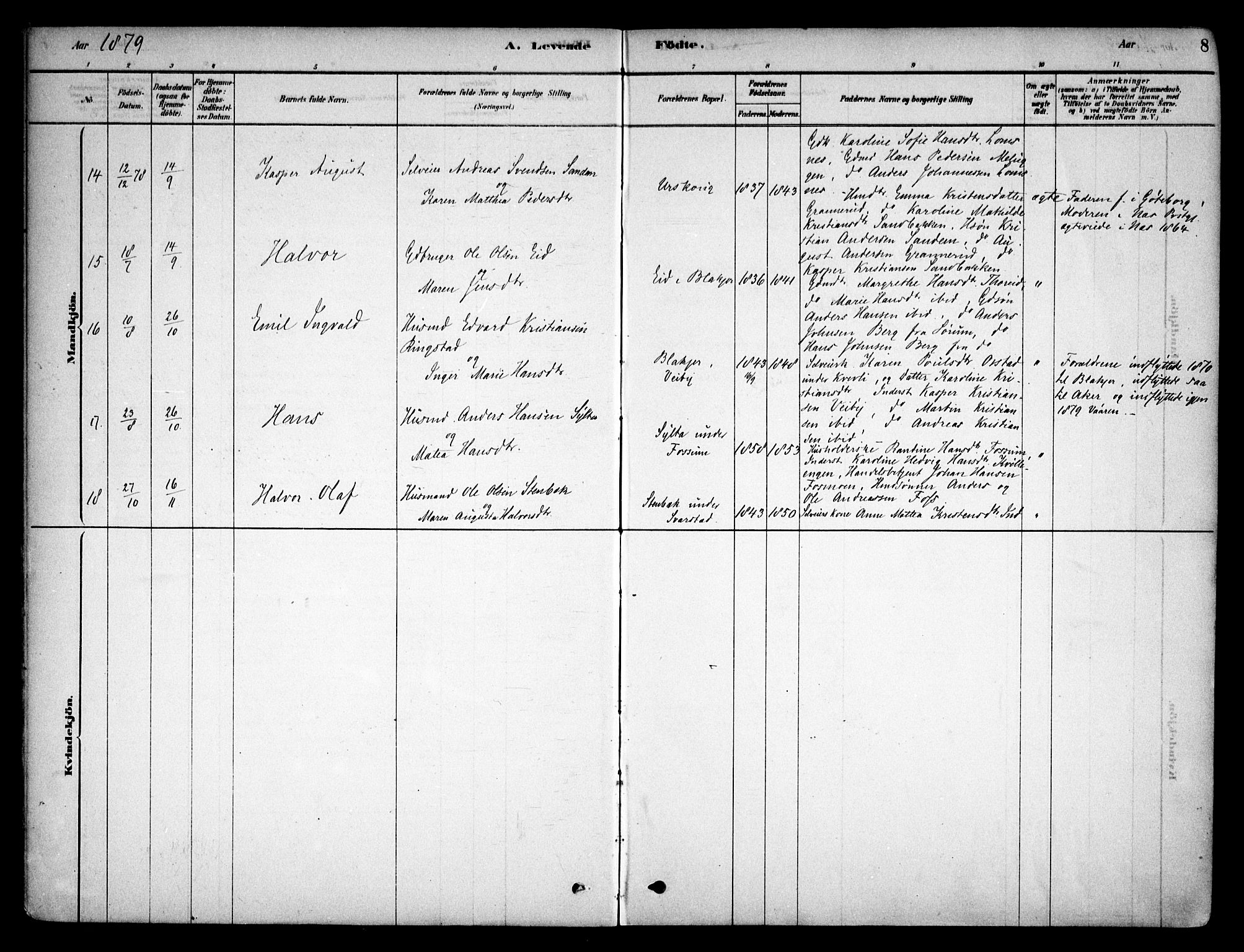 Aurskog prestekontor Kirkebøker, AV/SAO-A-10304a/F/Fb/L0001: Parish register (official) no. II 1, 1878-1909, p. 8