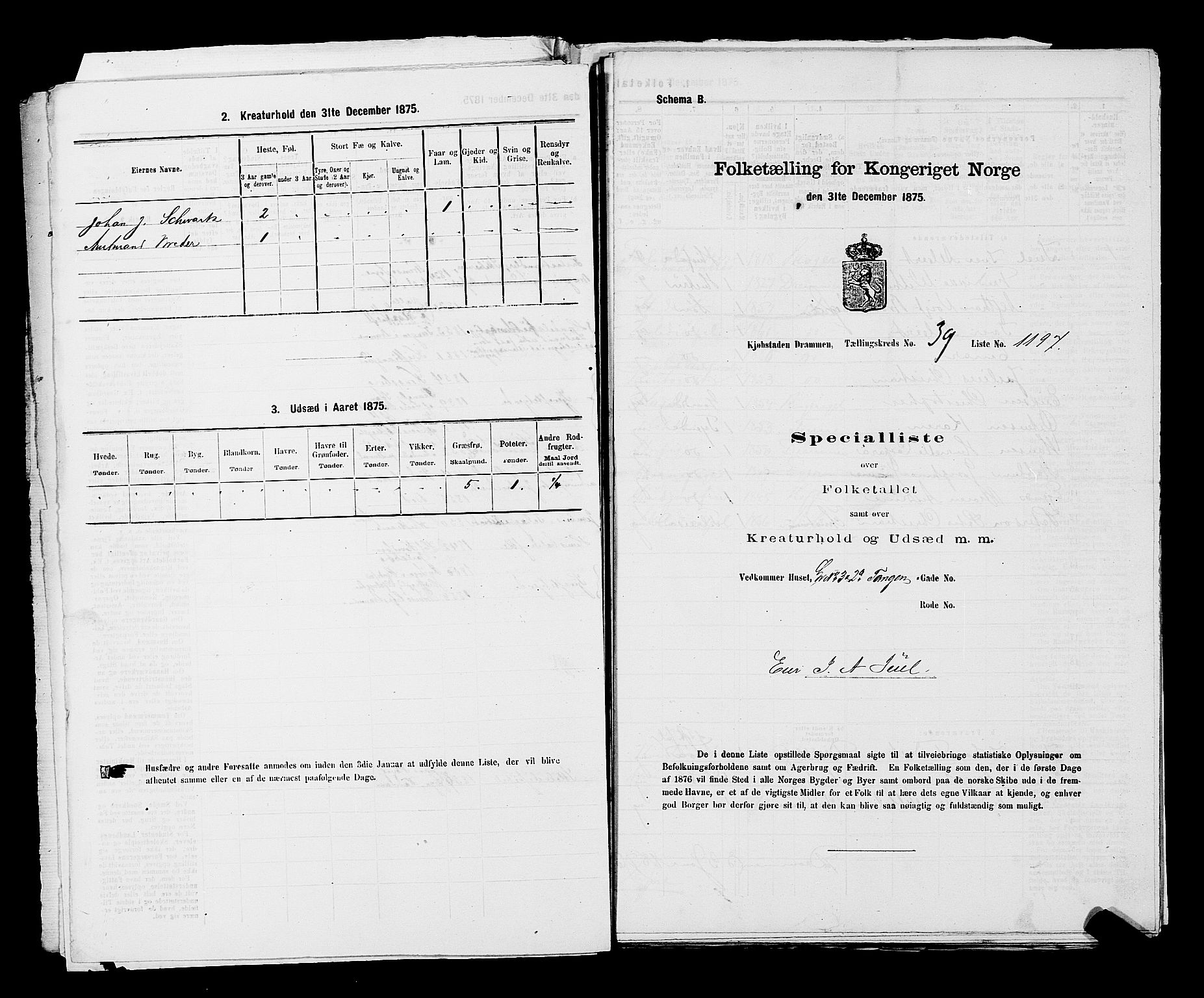 SAKO, 1875 census for 0602 Drammen, 1875, p. 3315