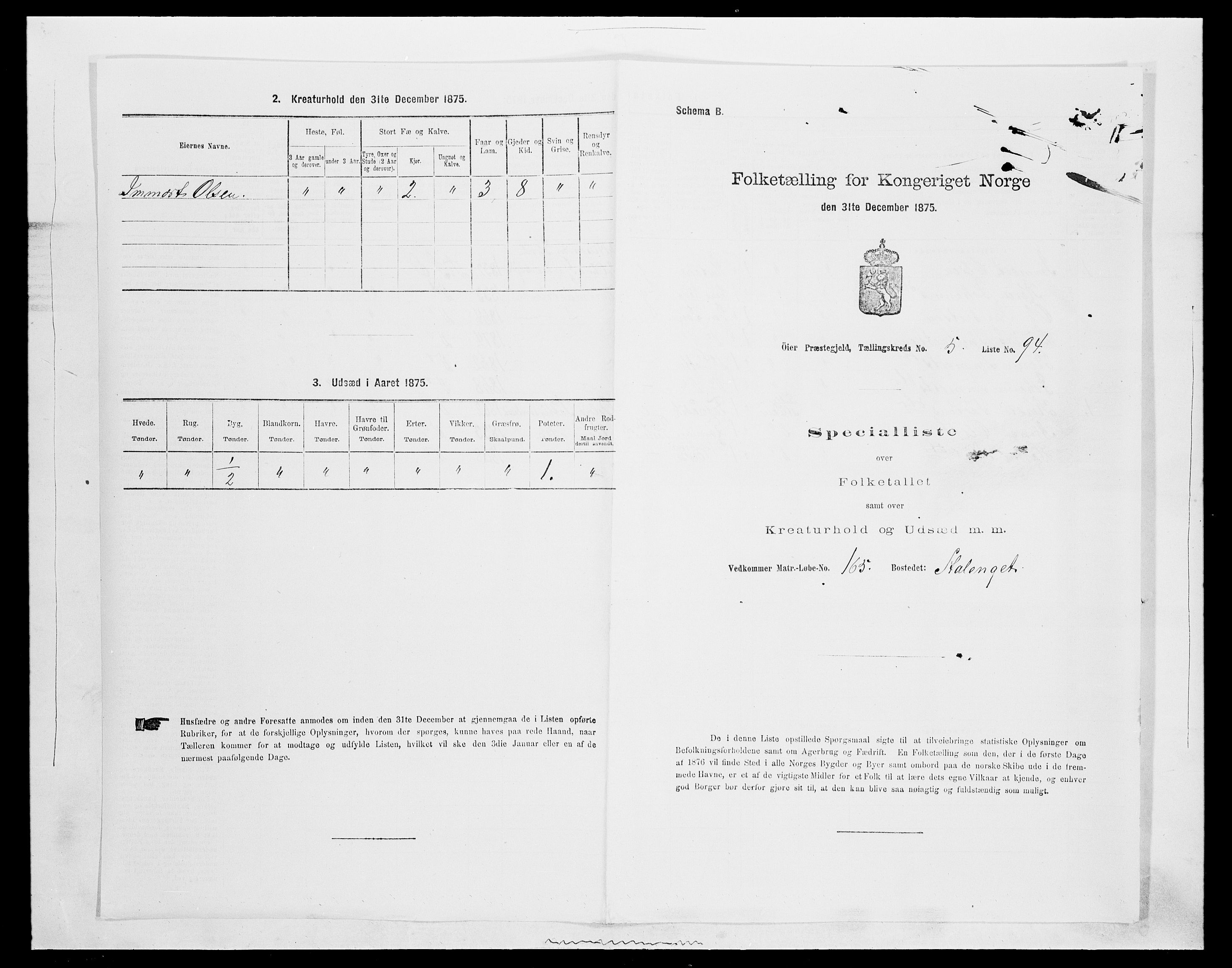 SAH, 1875 census for 0521P Øyer, 1875, p. 1142