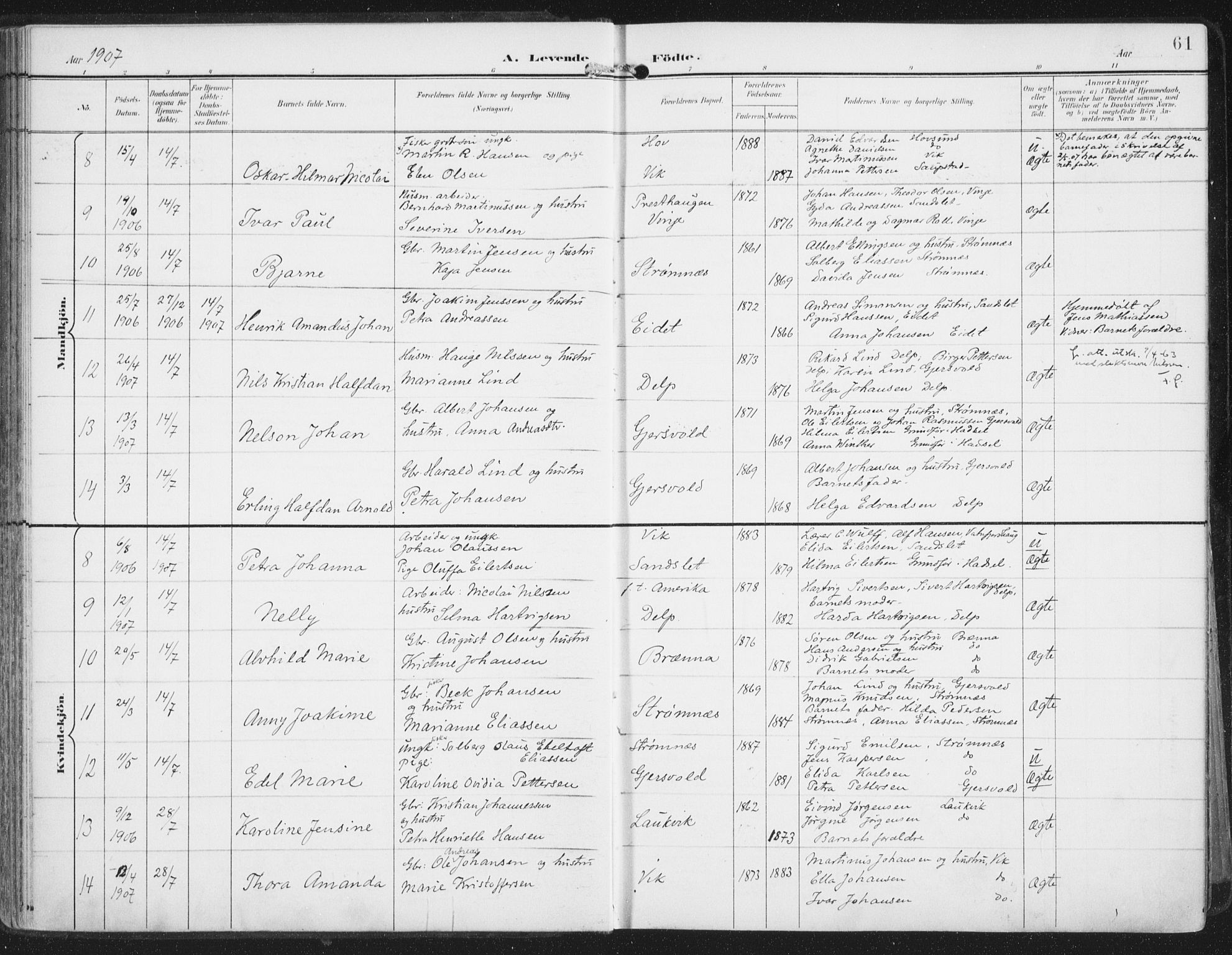 Ministerialprotokoller, klokkerbøker og fødselsregistre - Nordland, AV/SAT-A-1459/876/L1098: Parish register (official) no. 876A04, 1896-1915, p. 61