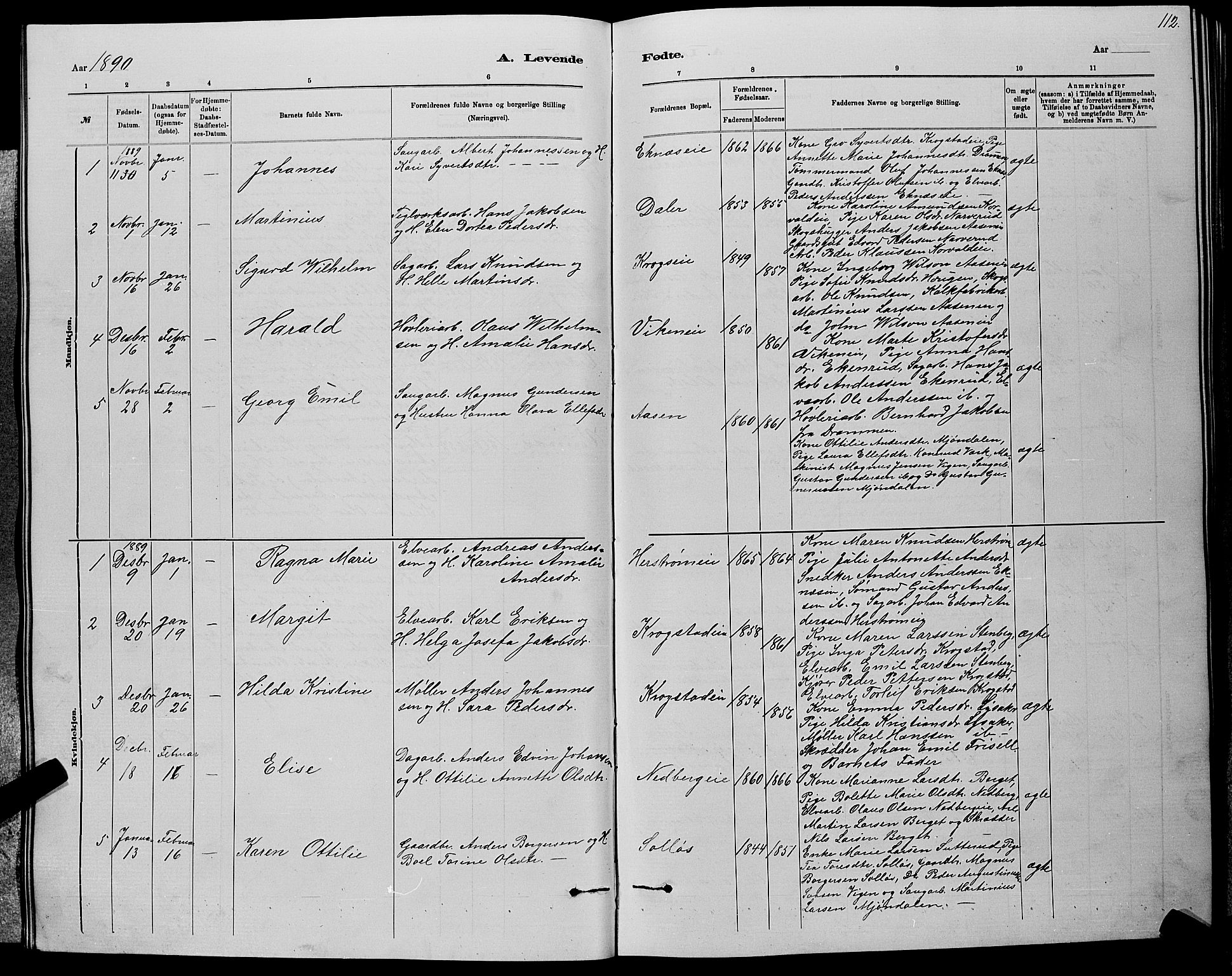 Nedre Eiker kirkebøker, AV/SAKO-A-612/G/Ga/L0002: Parish register (copy) no. 2, 1880-1896, p. 112