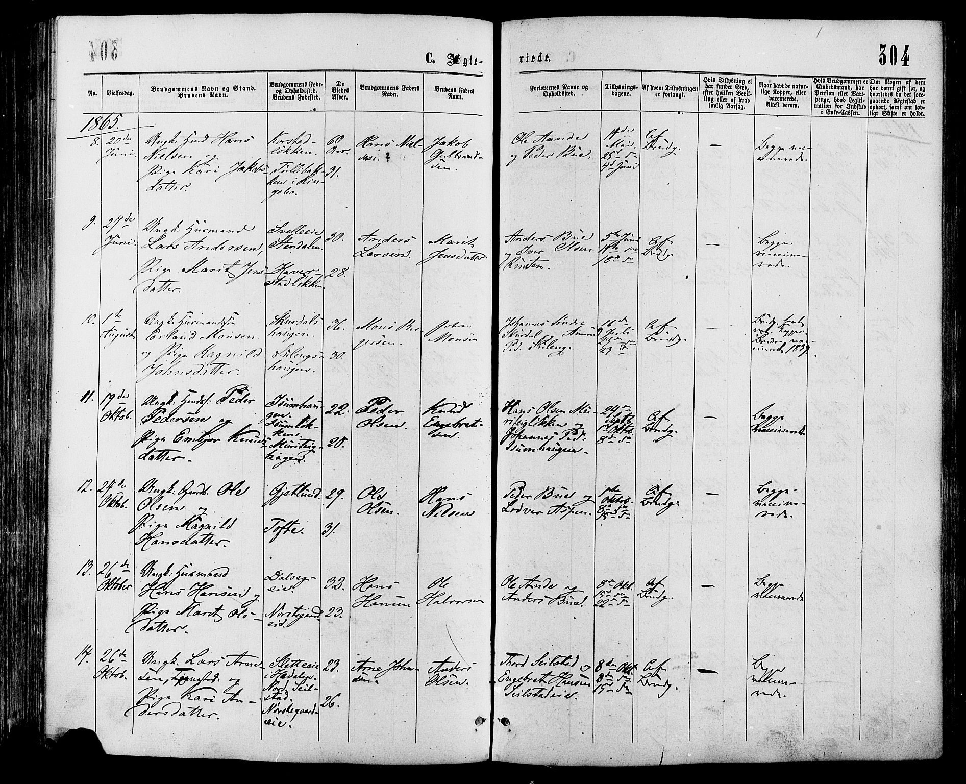 Sør-Fron prestekontor, SAH/PREST-010/H/Ha/Haa/L0002: Parish register (official) no. 2, 1864-1880, p. 304
