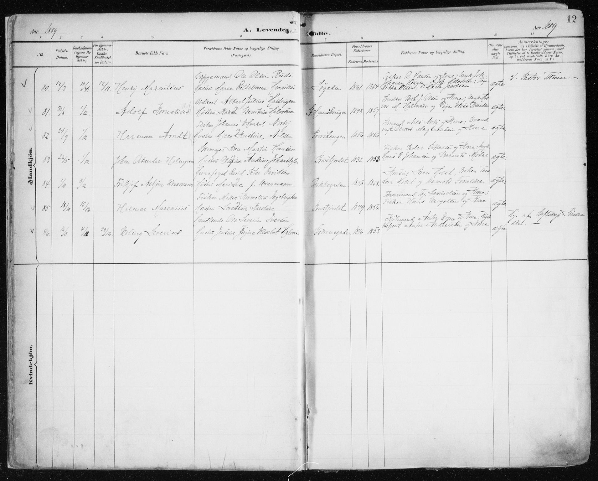 Tromsø sokneprestkontor/stiftsprosti/domprosti, SATØ/S-1343/G/Ga/L0015kirke: Parish register (official) no. 15, 1889-1899, p. 12