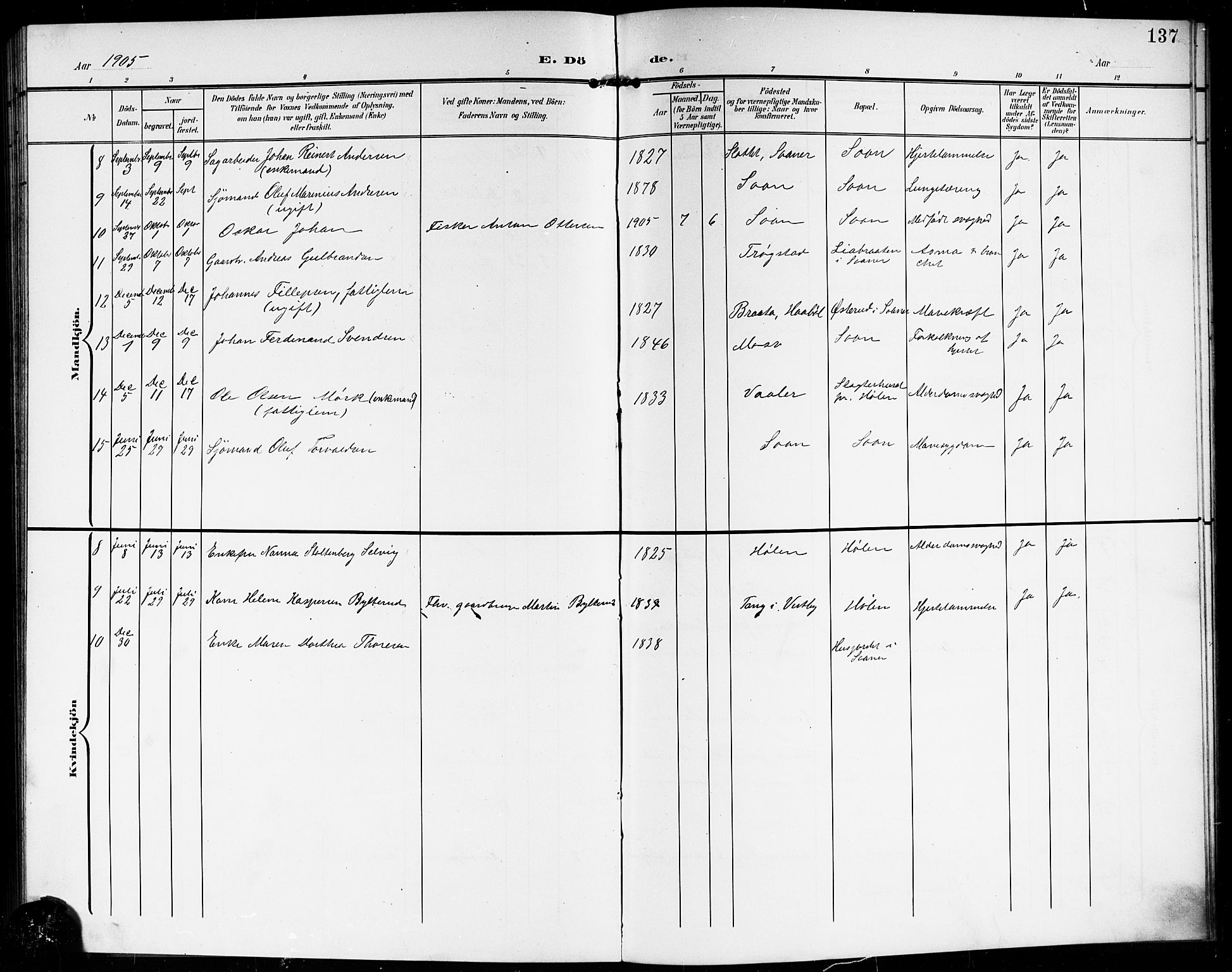 Vestby prestekontor Kirkebøker, AV/SAO-A-10893/G/Gb/L0002: Parish register (copy) no. II 2, 1903-1914, p. 137