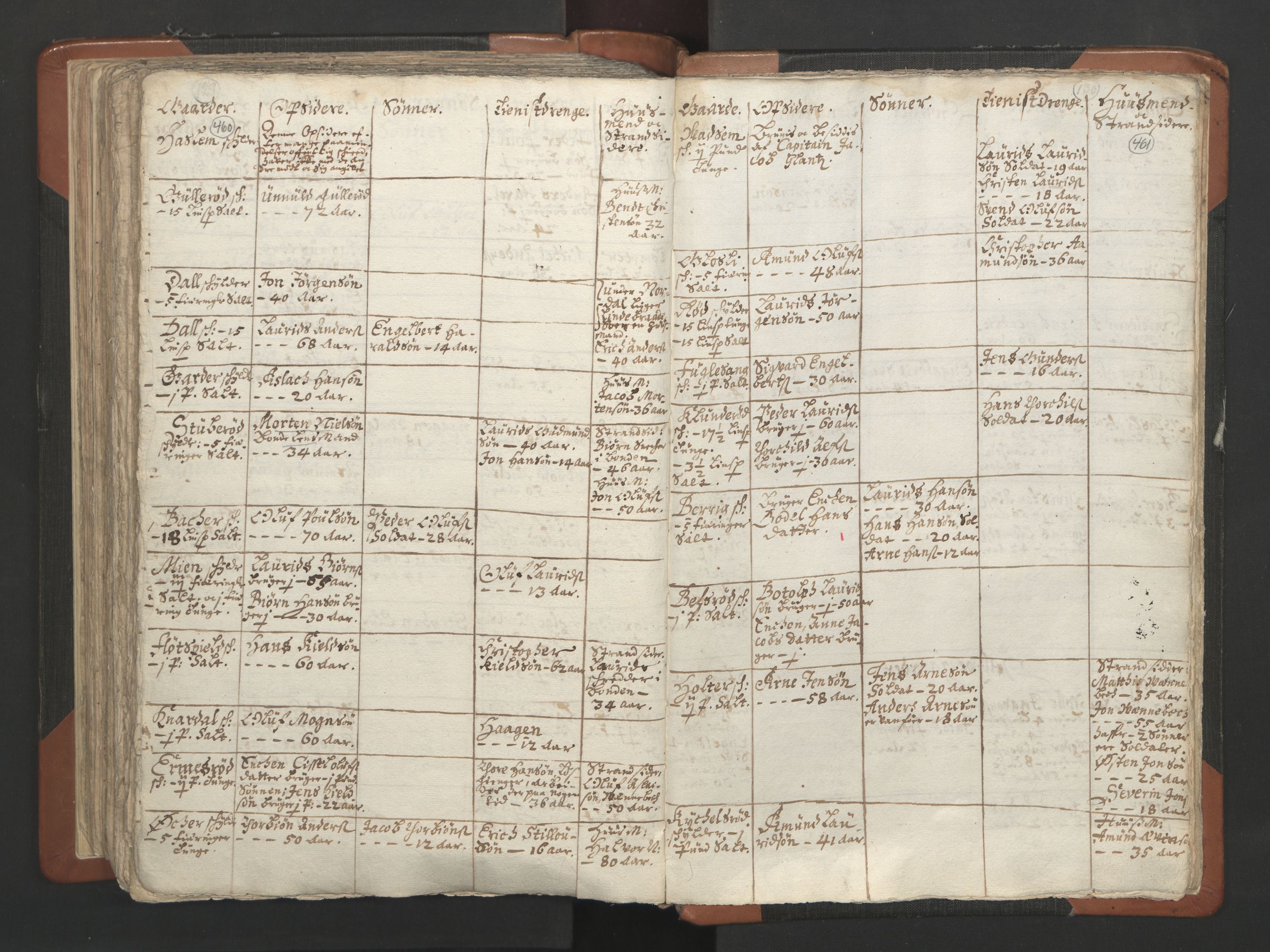 RA, Vicar's Census 1664-1666, no. 2: Øvre Borgesyssel deanery, 1664-1666, p. 460-461