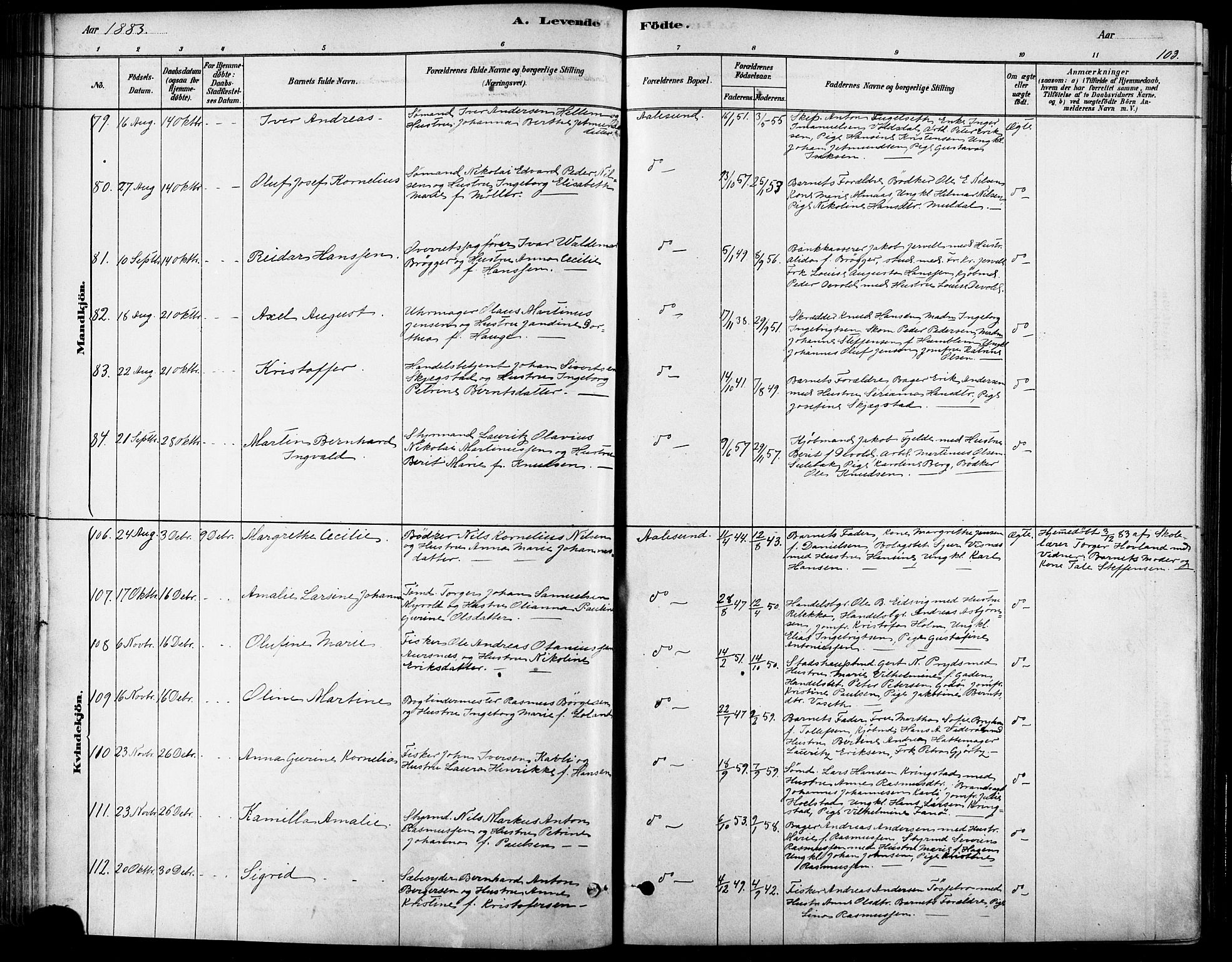 Ministerialprotokoller, klokkerbøker og fødselsregistre - Møre og Romsdal, AV/SAT-A-1454/529/L0454: Parish register (official) no. 529A04, 1878-1885, p. 103