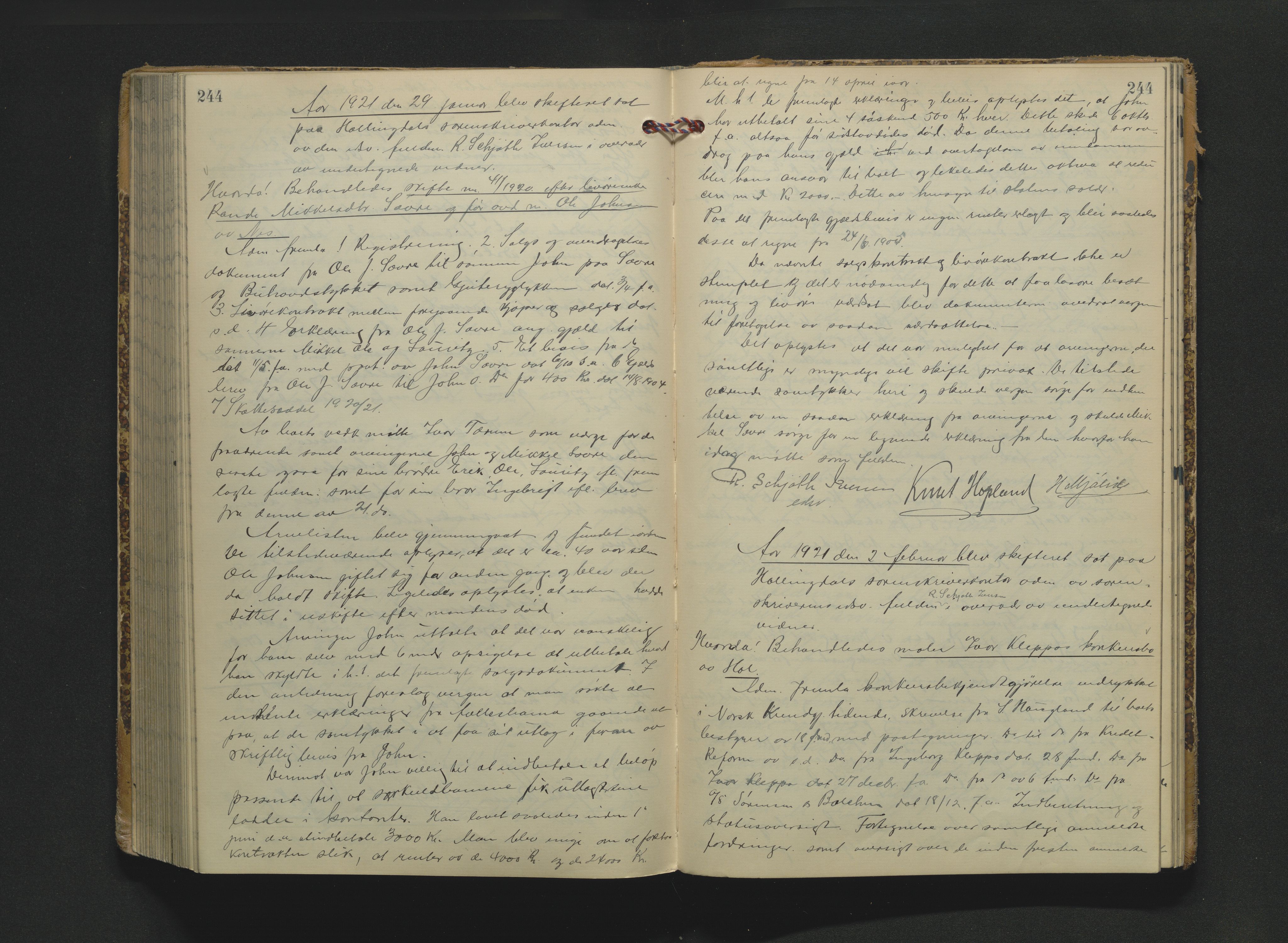 Hallingdal sorenskriveri, AV/SAKO-A-121/H/Hb/Hbc/L0011: Skifteforhandlingsprotokoll, 1915-1922, p. 244
