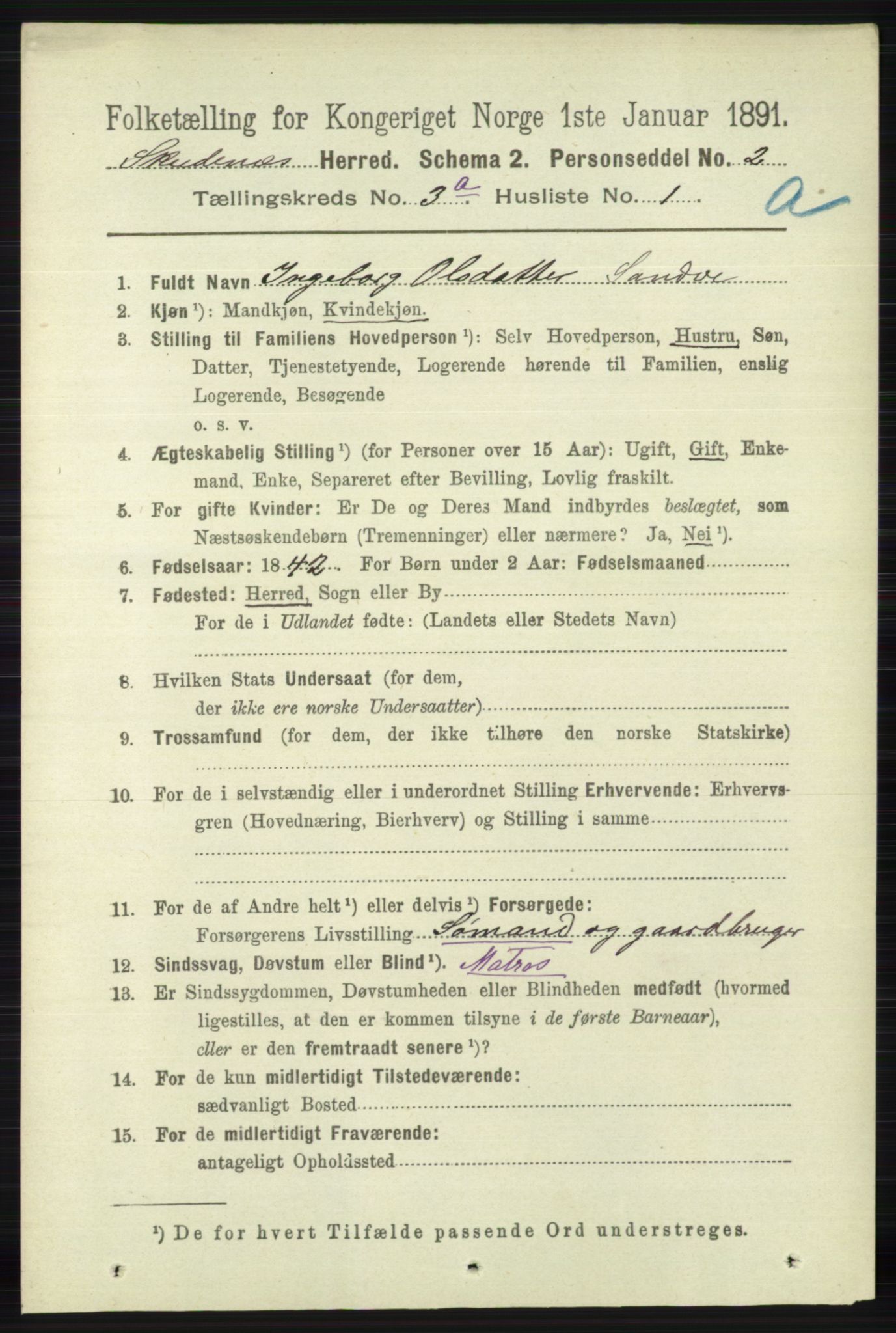 RA, 1891 census for 1150 Skudenes, 1891, p. 1376