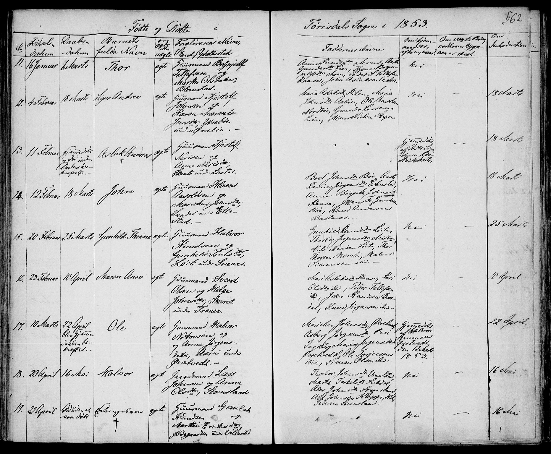 Drangedal kirkebøker, AV/SAKO-A-258/F/Fa/L0007b: Parish register (official) no. 7b, 1837-1856, p. 562