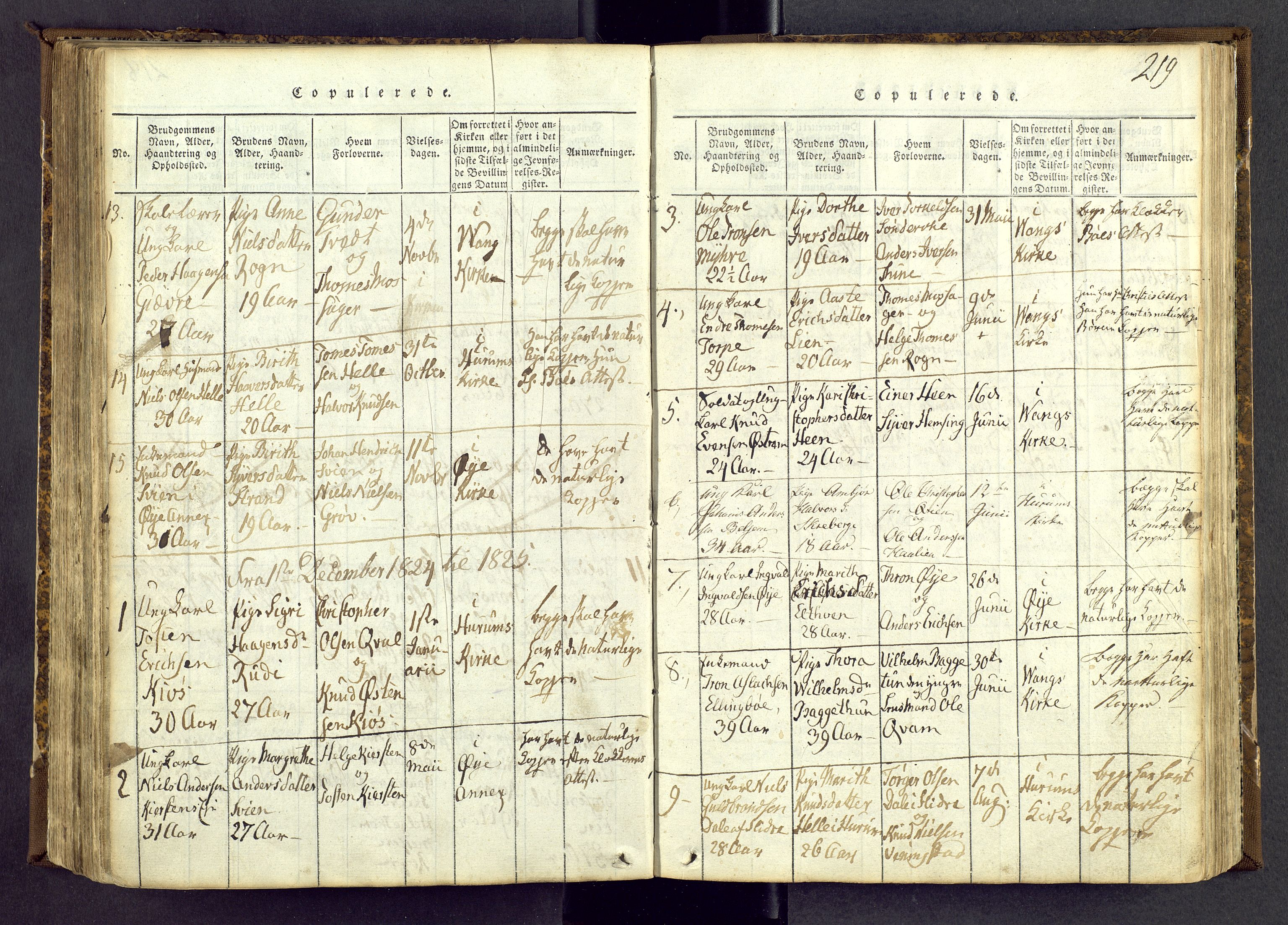 Vang prestekontor, Valdres, SAH/PREST-140/H/Ha/L0004: Parish register (official) no. 4, 1814-1831, p. 219