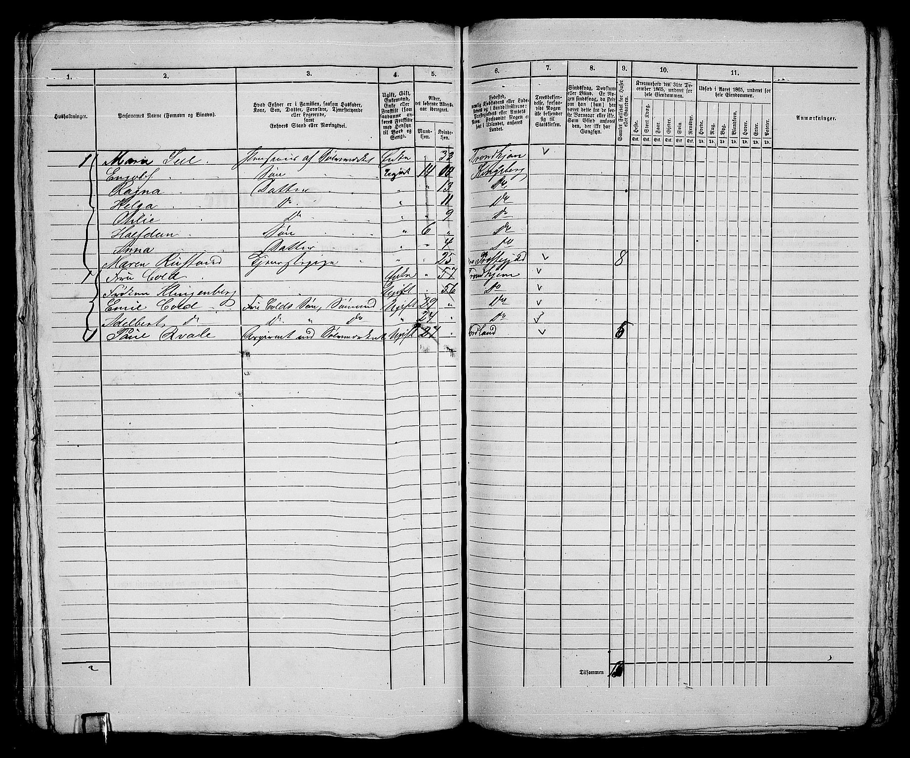 RA, 1865 census for Kongsberg/Kongsberg, 1865, p. 825