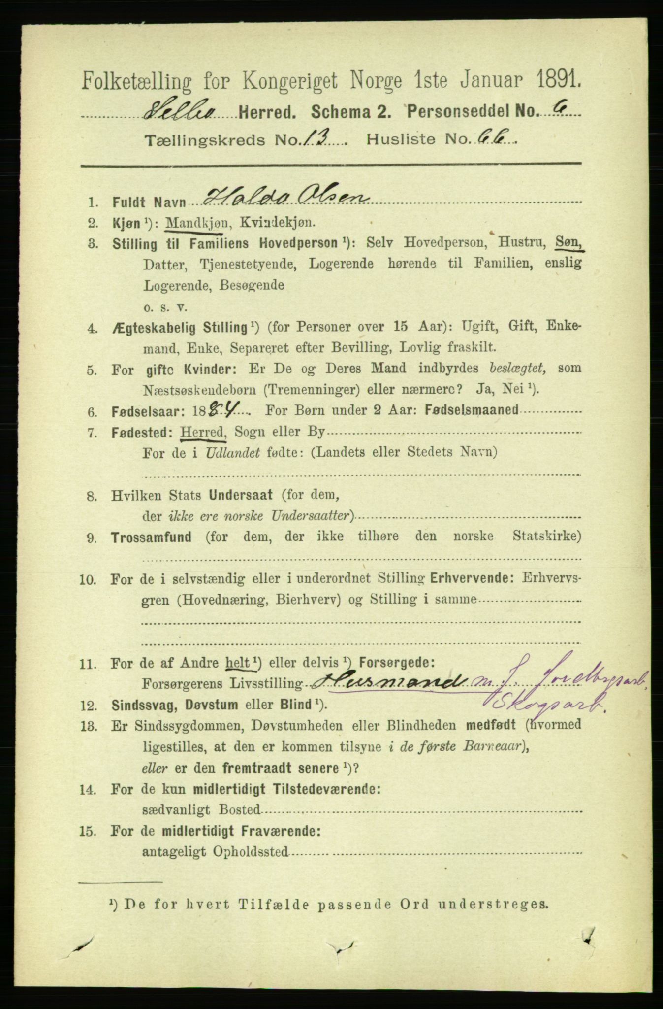 RA, 1891 census for 1664 Selbu, 1891, p. 5008