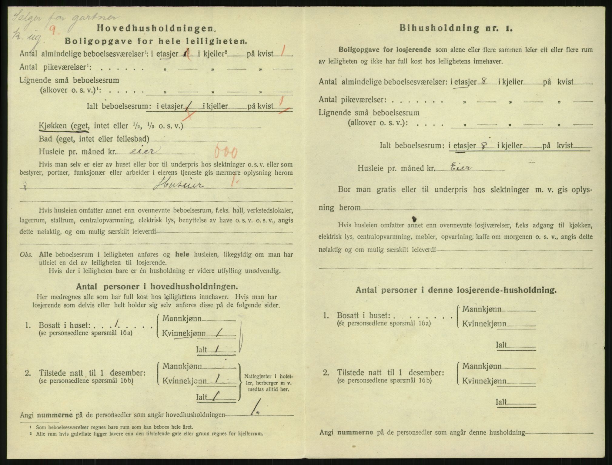 SAKO, 1920 census for Horten, 1920, p. 7294