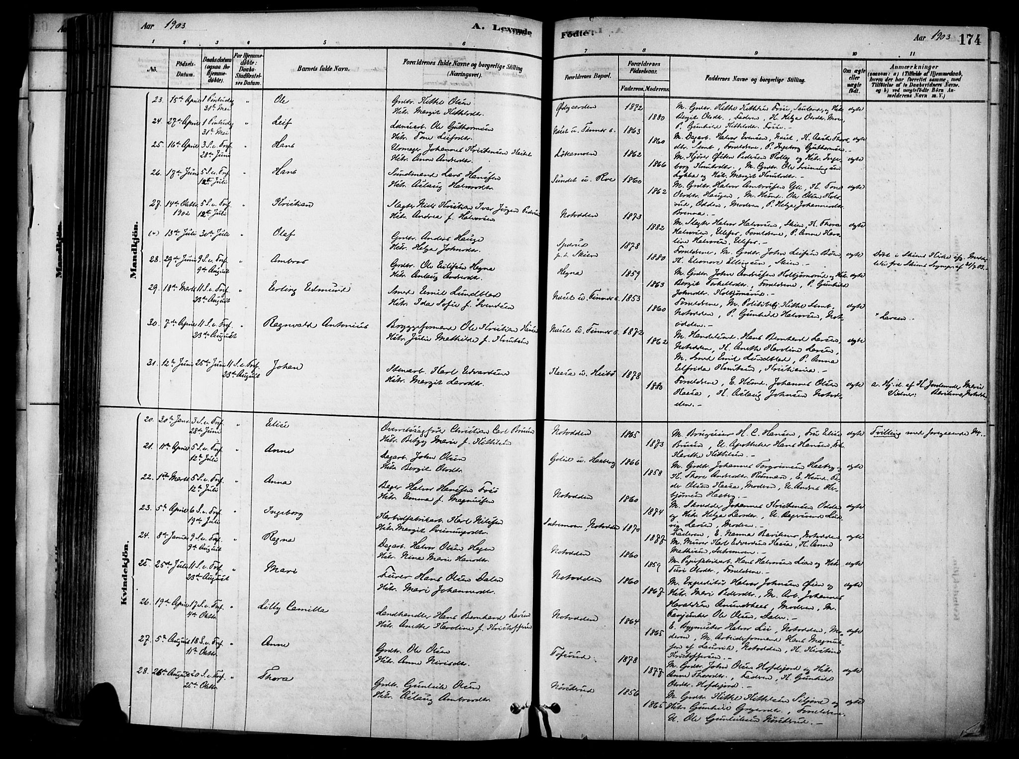 Heddal kirkebøker, AV/SAKO-A-268/F/Fa/L0008: Parish register (official) no. I 8, 1878-1903, p. 174