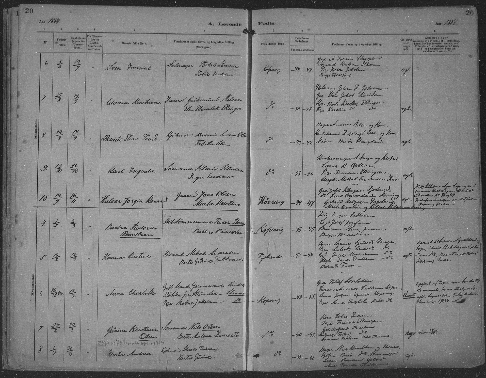 Kopervik sokneprestkontor, SAST/A-101850/H/Ha/Haa/L0001: Parish register (official) no. A 1, 1880-1919, p. 20