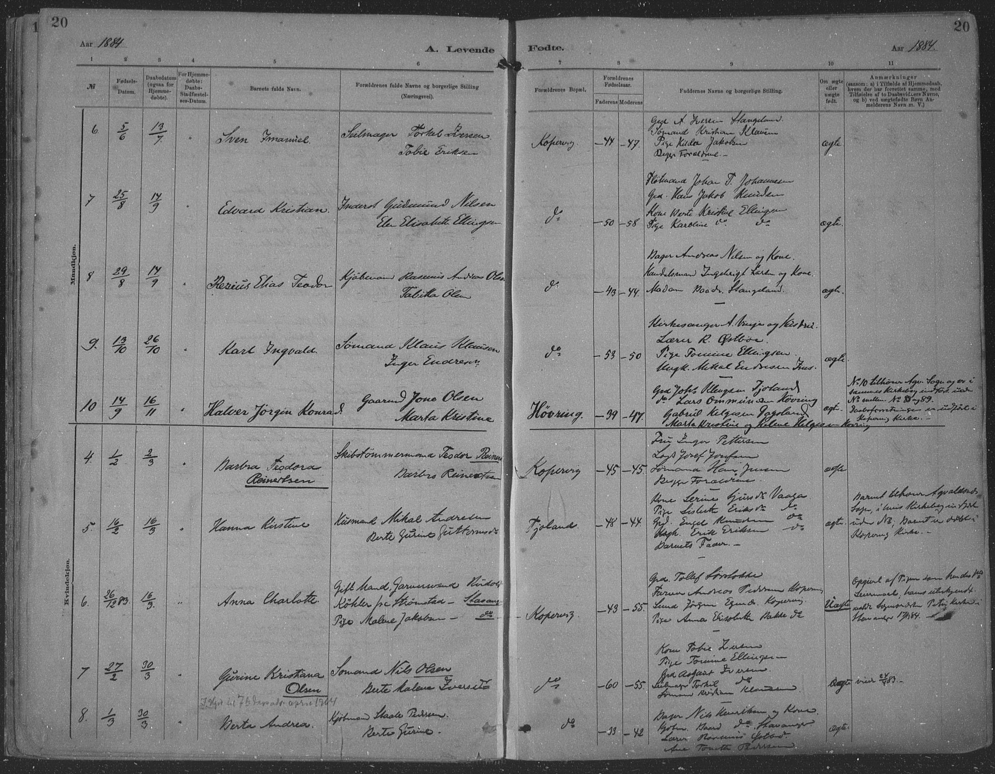 Kopervik sokneprestkontor, AV/SAST-A-101850/H/Ha/Haa/L0001: Parish register (official) no. A 1, 1880-1919, p. 20