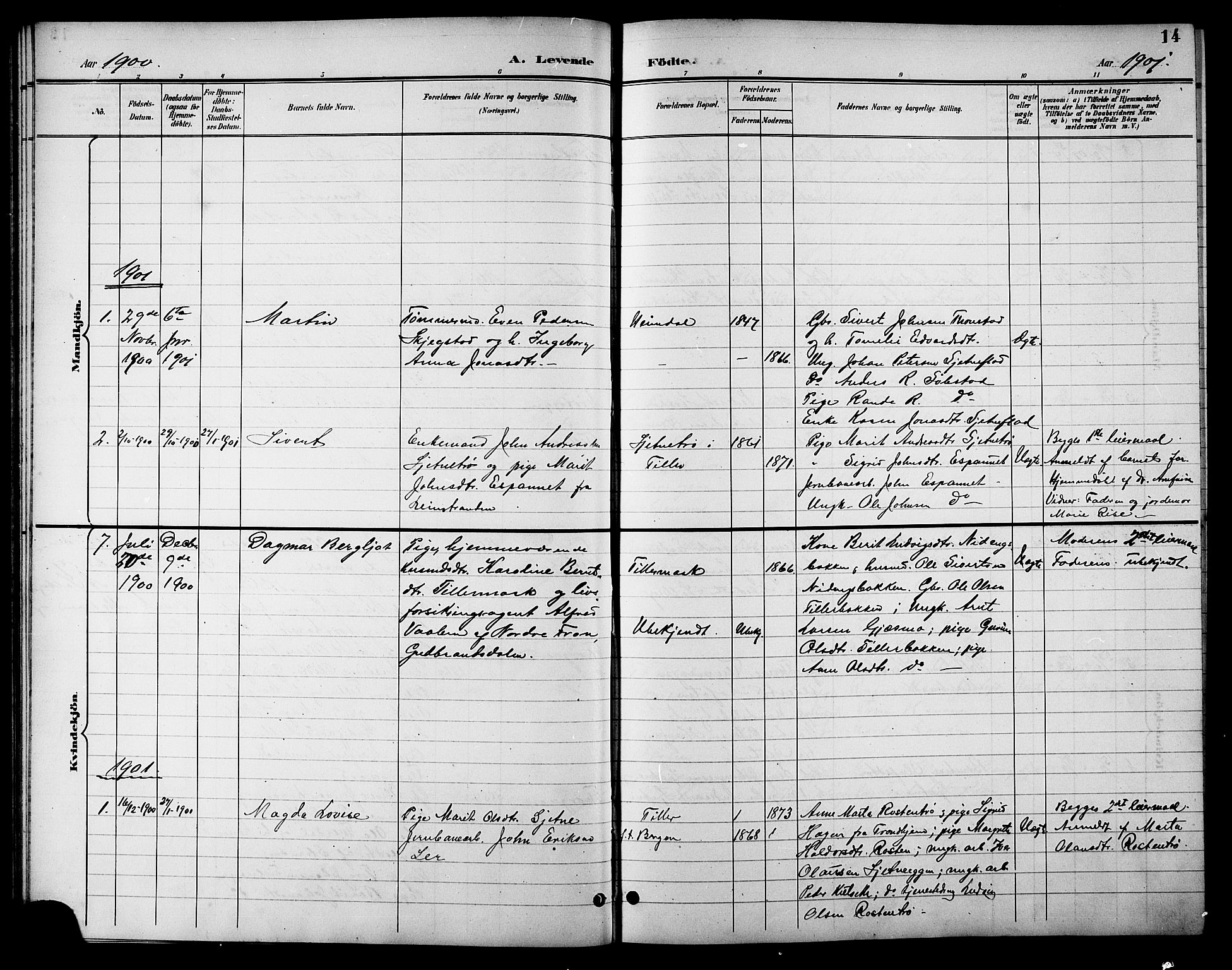Ministerialprotokoller, klokkerbøker og fødselsregistre - Sør-Trøndelag, SAT/A-1456/621/L0460: Parish register (copy) no. 621C03, 1896-1914, p. 14