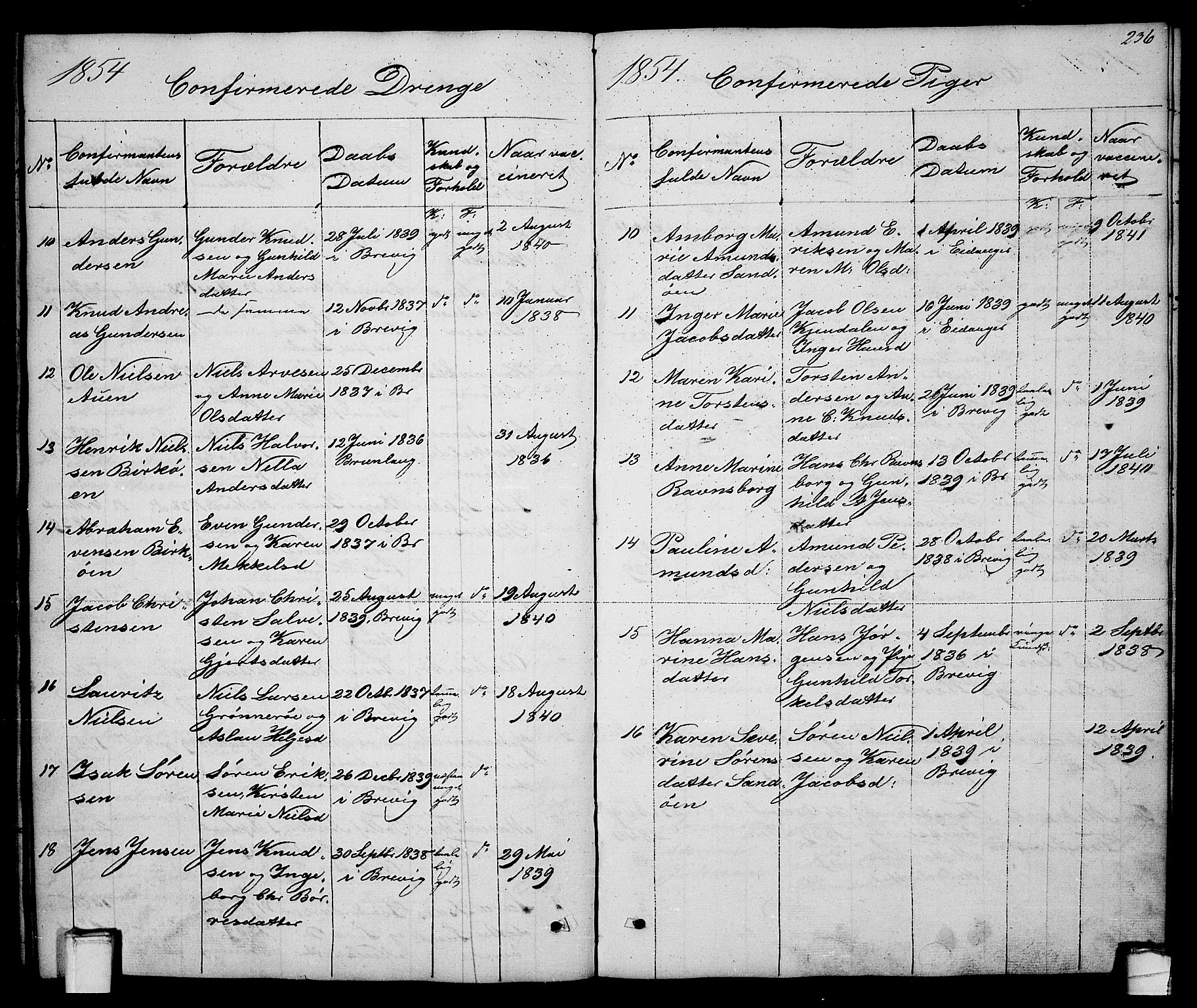 Brevik kirkebøker, AV/SAKO-A-255/G/Ga/L0002: Parish register (copy) no. 2, 1846-1865, p. 236