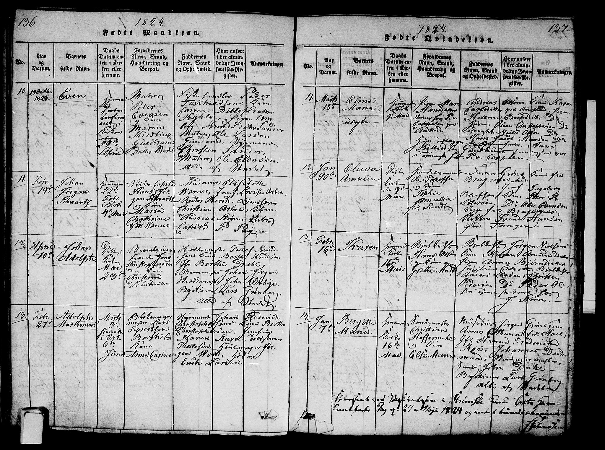 Strømsø kirkebøker, AV/SAKO-A-246/G/Ga/L0001: Parish register (copy) no. 1, 1815-1829, p. 136-137