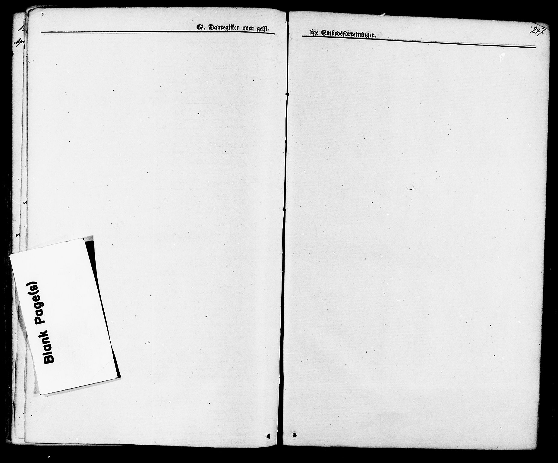 Lunde kirkebøker, SAKO/A-282/F/Fa/L0001: Parish register (official) no. I 1, 1866-1883, p. 247