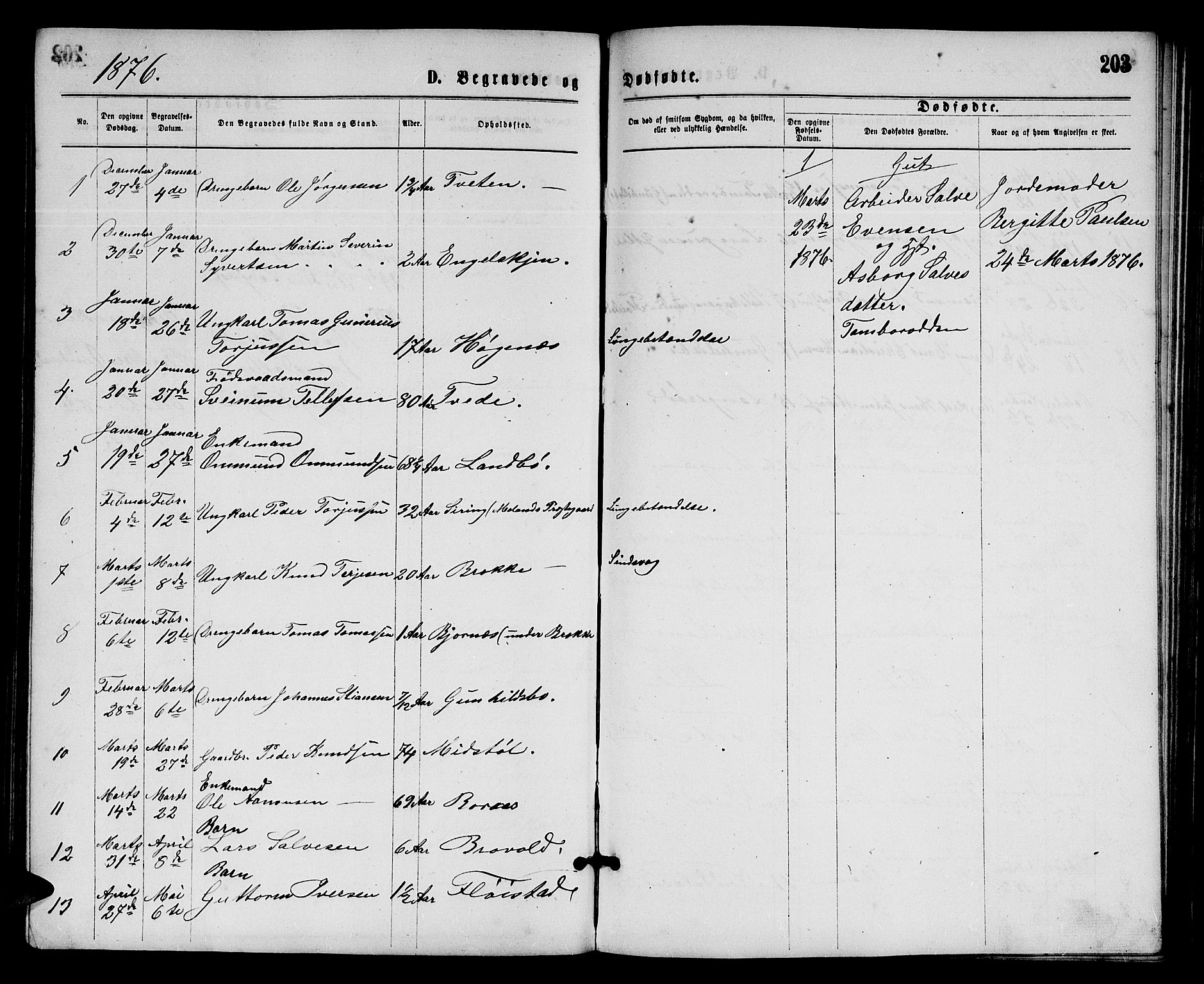 Austre Moland sokneprestkontor, AV/SAK-1111-0001/F/Fb/Fba/L0002: Parish register (copy) no. B 2, 1869-1879, p. 203