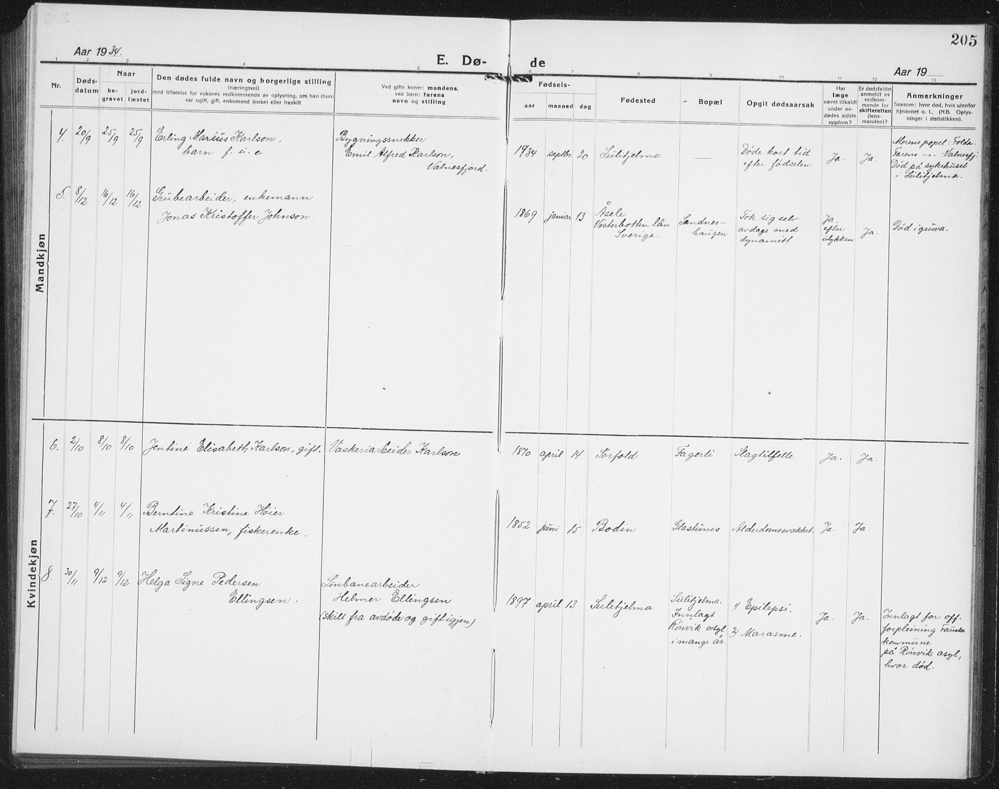 Ministerialprotokoller, klokkerbøker og fødselsregistre - Nordland, AV/SAT-A-1459/850/L0718: Parish register (copy) no. 850C02, 1921-1941, p. 205