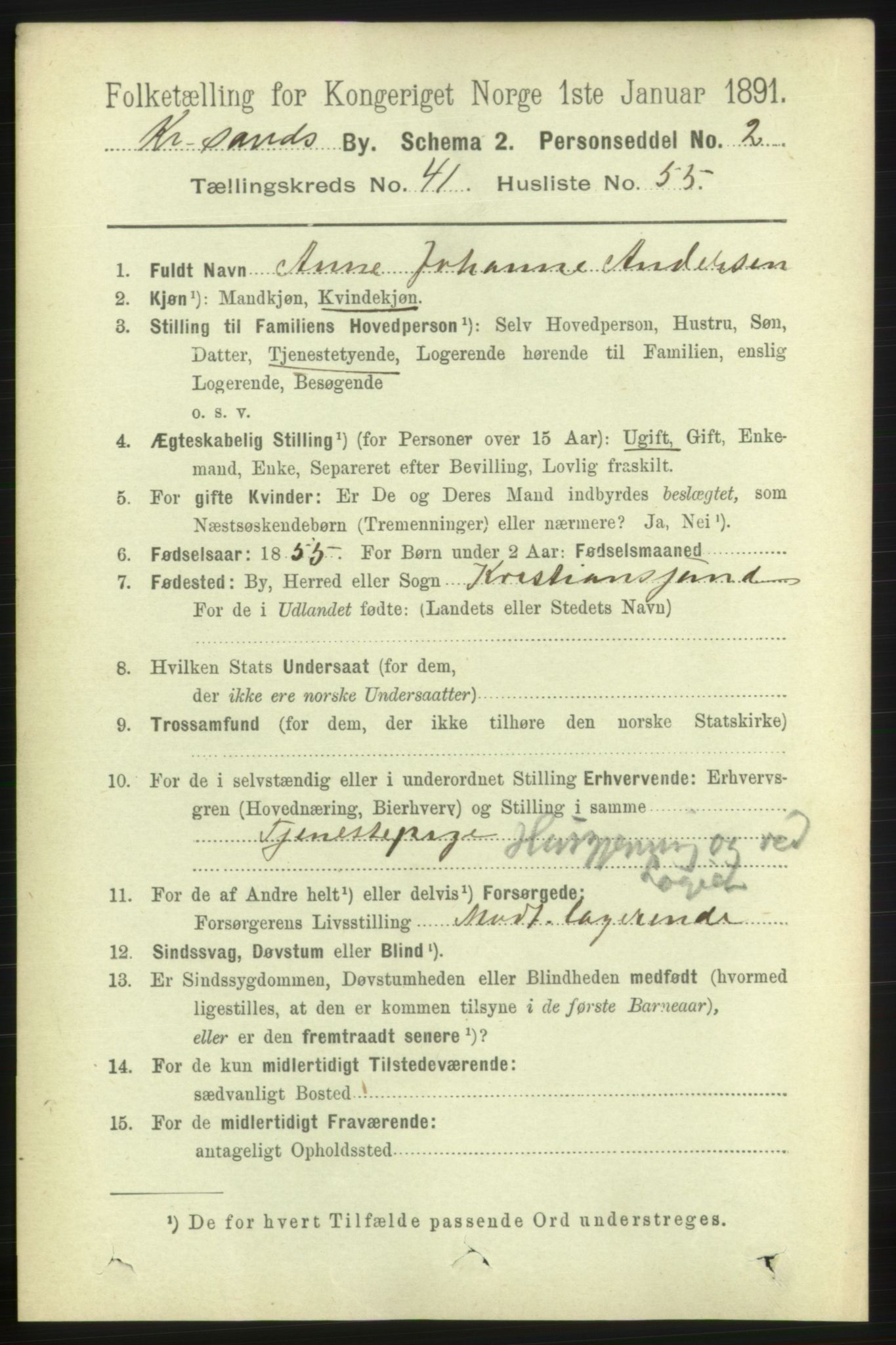 RA, 1891 census for 1001 Kristiansand, 1891, p. 13068