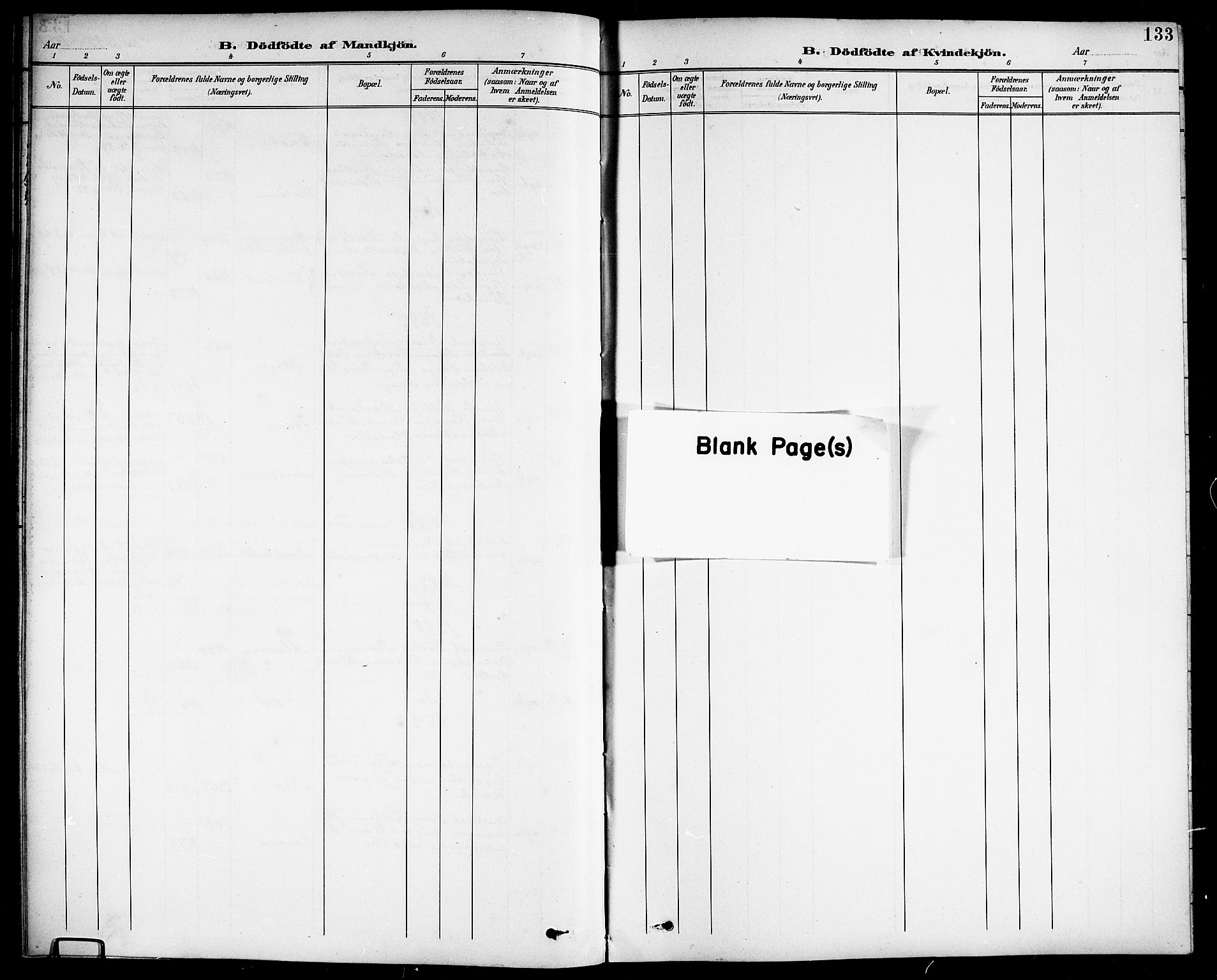 Ministerialprotokoller, klokkerbøker og fødselsregistre - Nordland, SAT/A-1459/838/L0559: Parish register (copy) no. 838C06, 1893-1910, p. 133