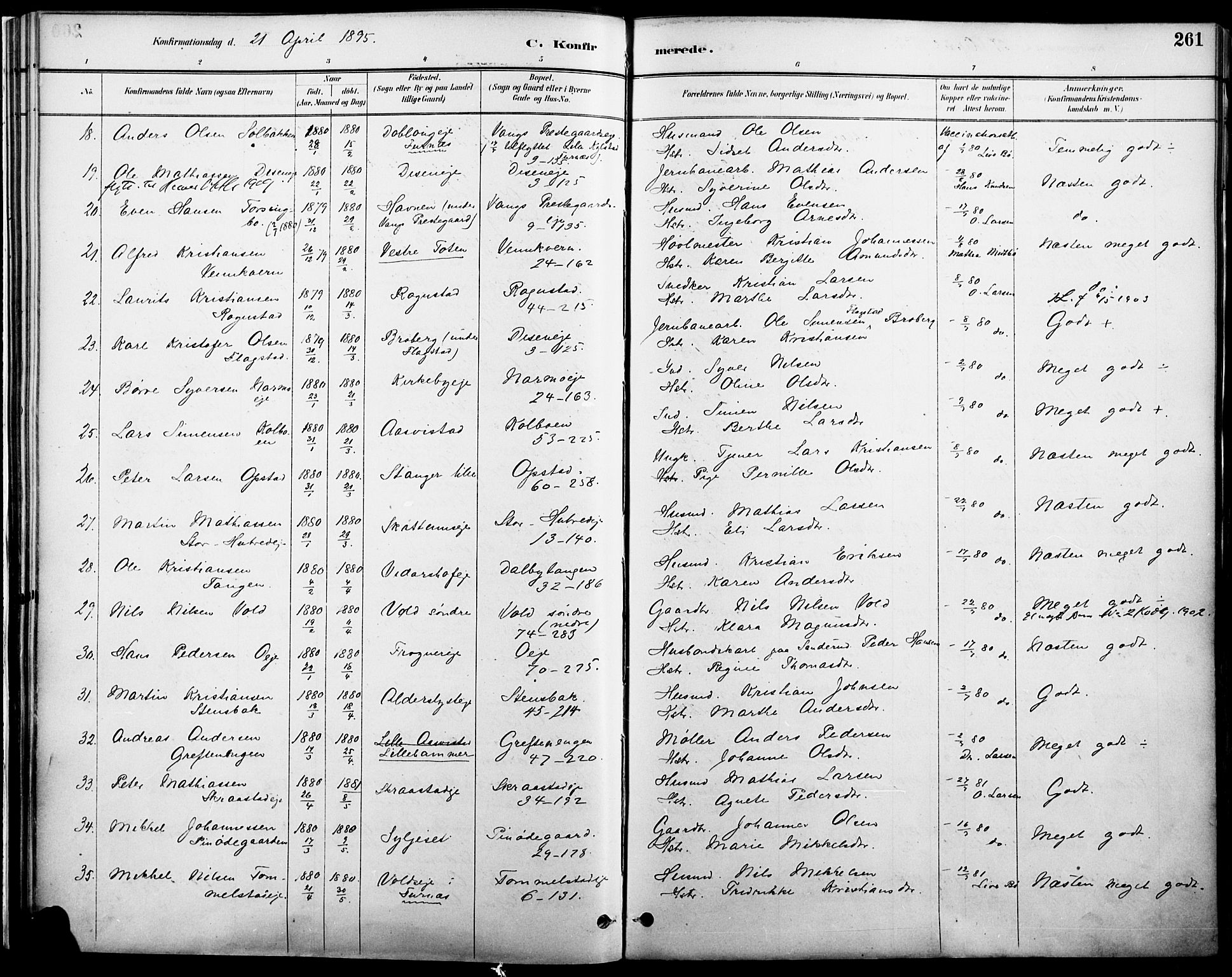 Vang prestekontor, Hedmark, AV/SAH-PREST-008/H/Ha/Haa/L0019A: Parish register (official) no. 19, 1886-1900, p. 261