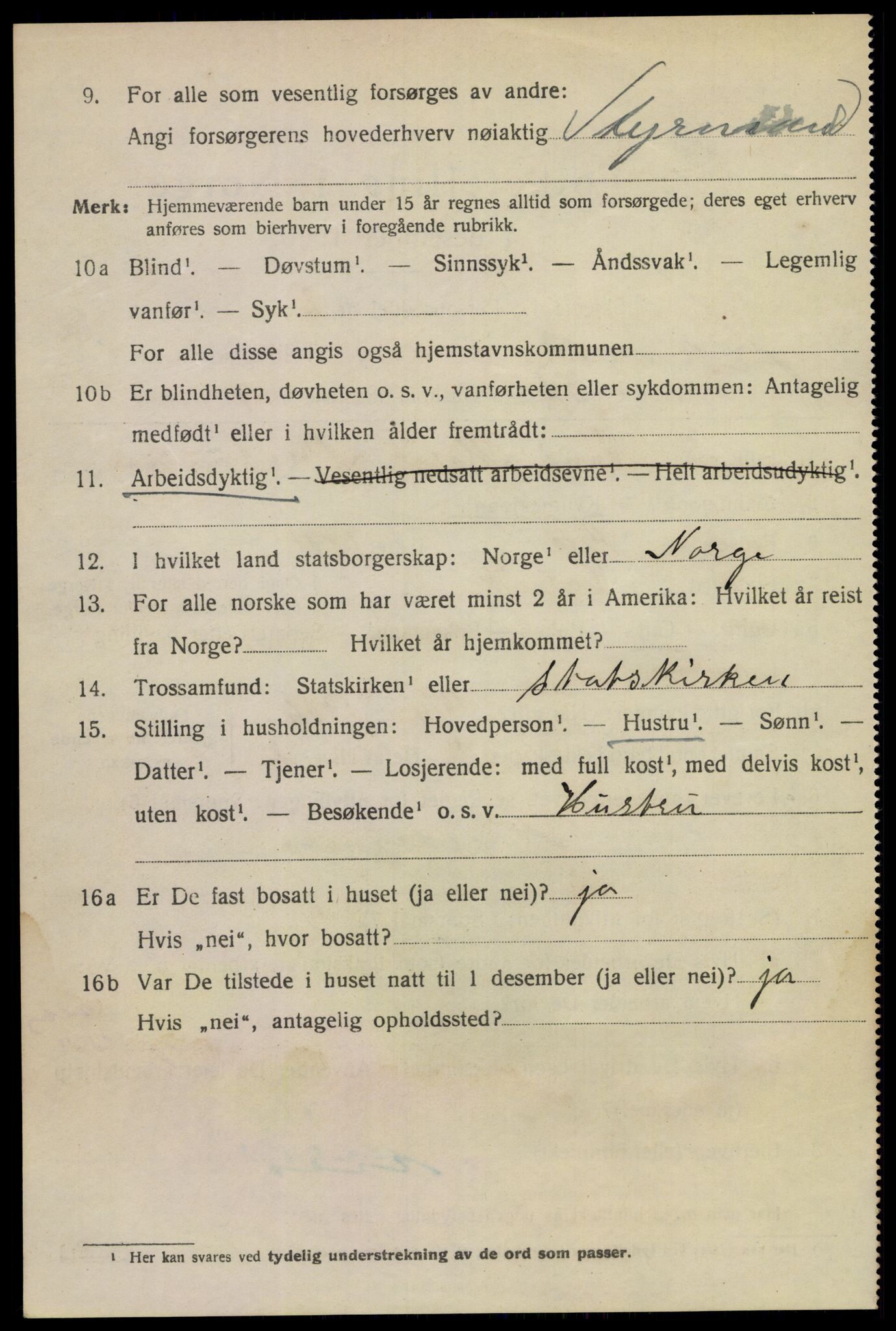 SAKO, 1920 census for Larvik, 1920, p. 31029