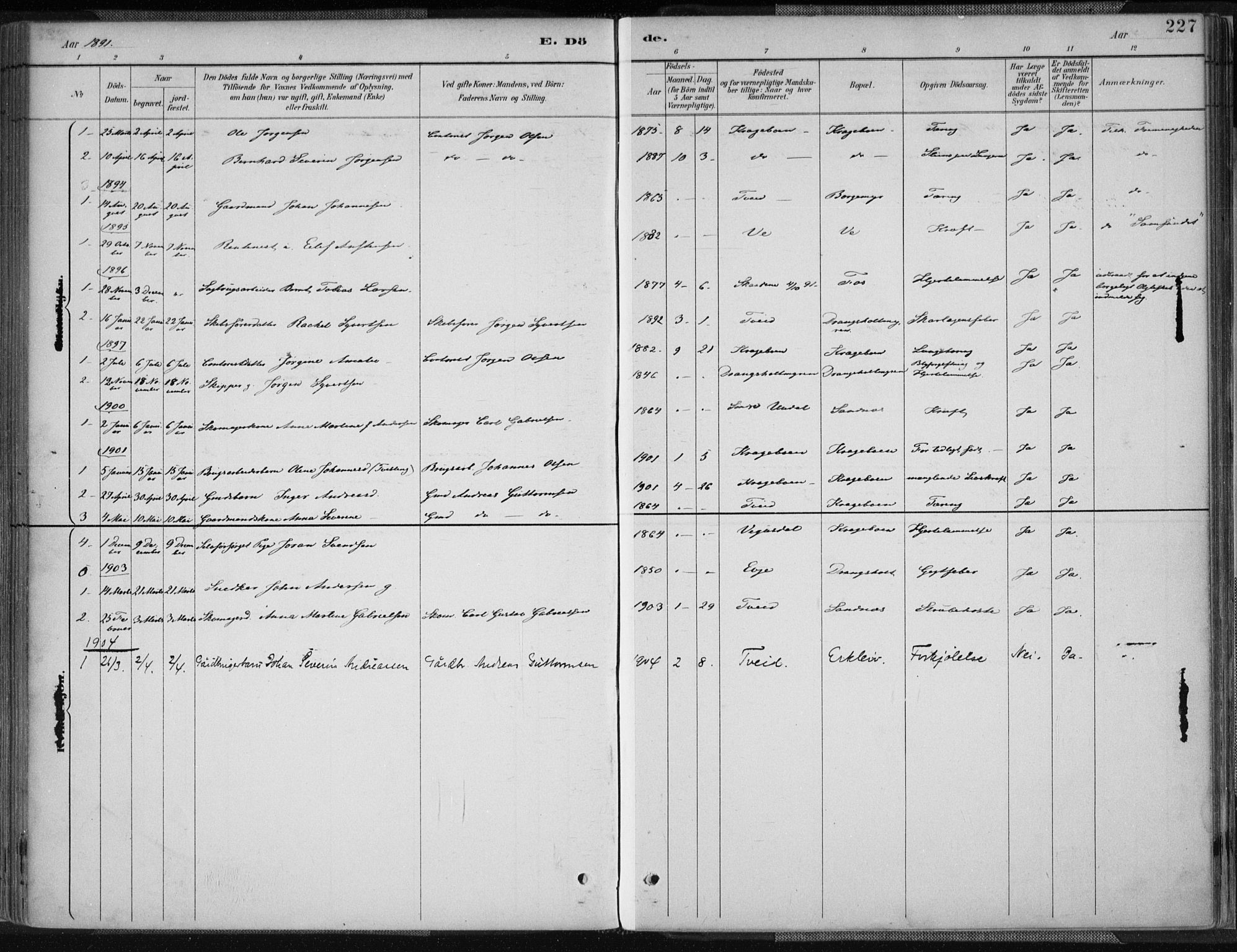 Tveit sokneprestkontor, SAK/1111-0043/F/Fa/L0007: Parish register (official) no. A 7, 1887-1908, p. 227