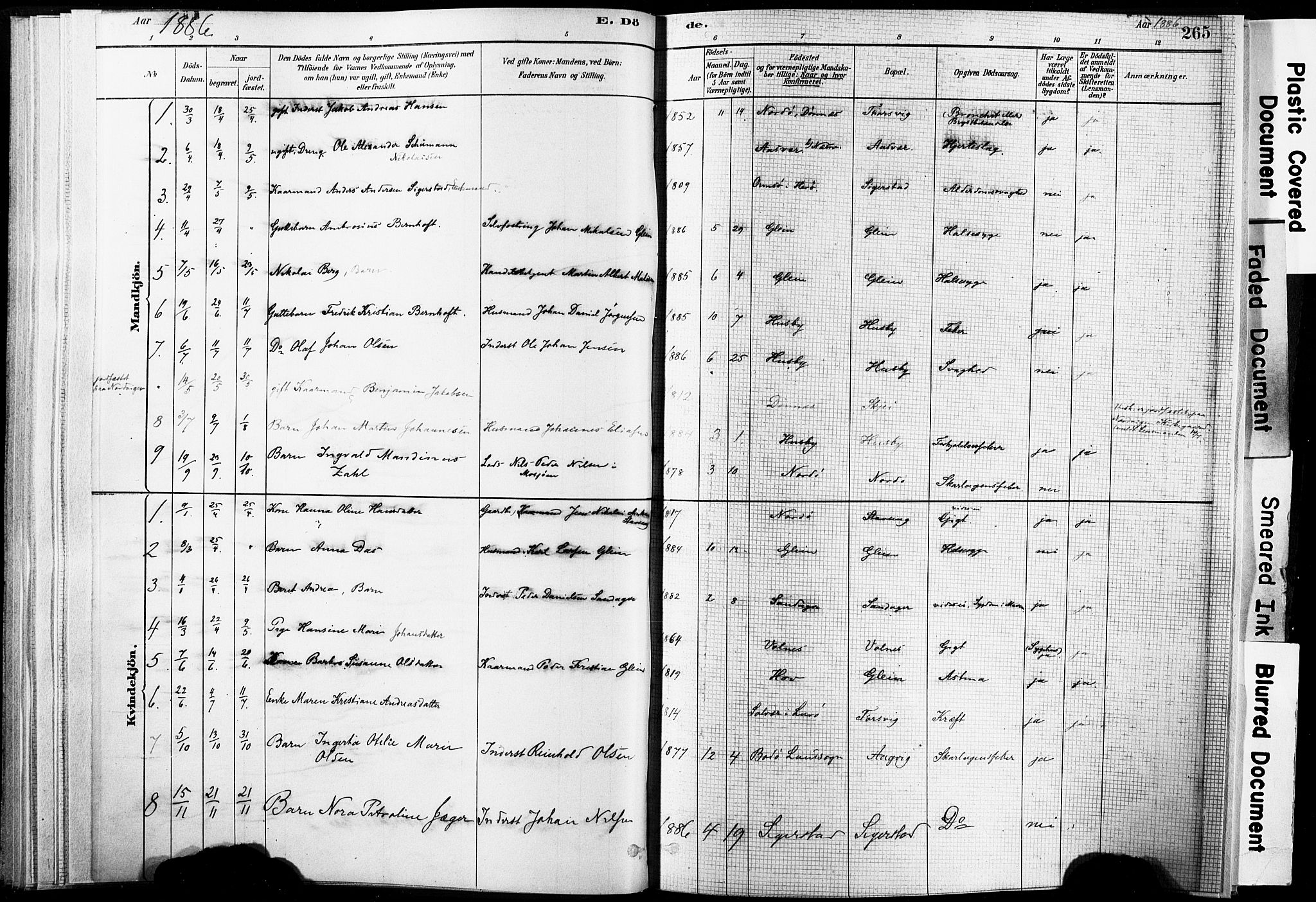 Ministerialprotokoller, klokkerbøker og fødselsregistre - Nordland, AV/SAT-A-1459/835/L0526: Parish register (official) no. 835A03II, 1881-1910, p. 265