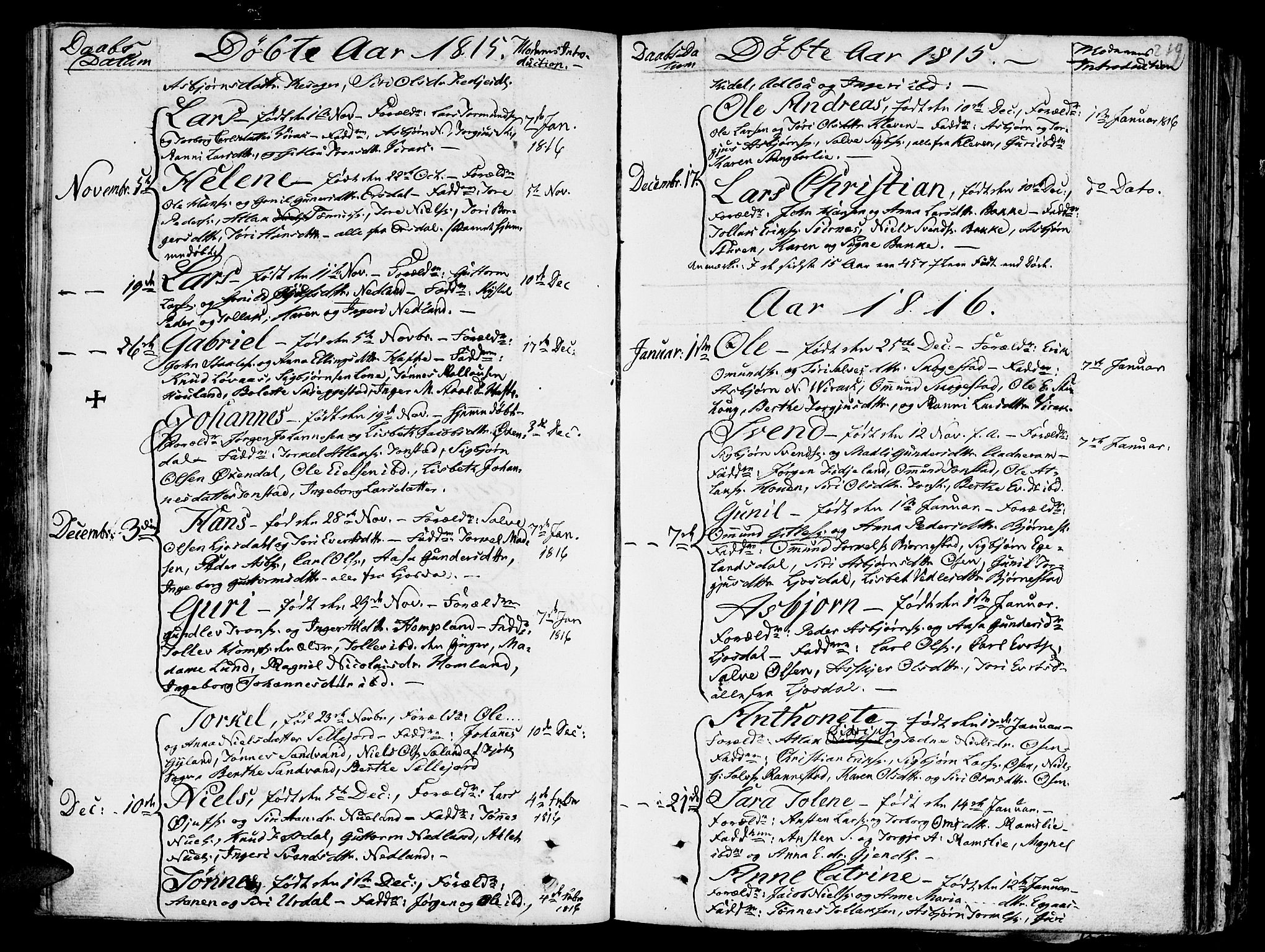 Bakke sokneprestkontor, SAK/1111-0002/F/Fa/Faa/L0002: Parish register (official) no. A 2, 1780-1816, p. 219